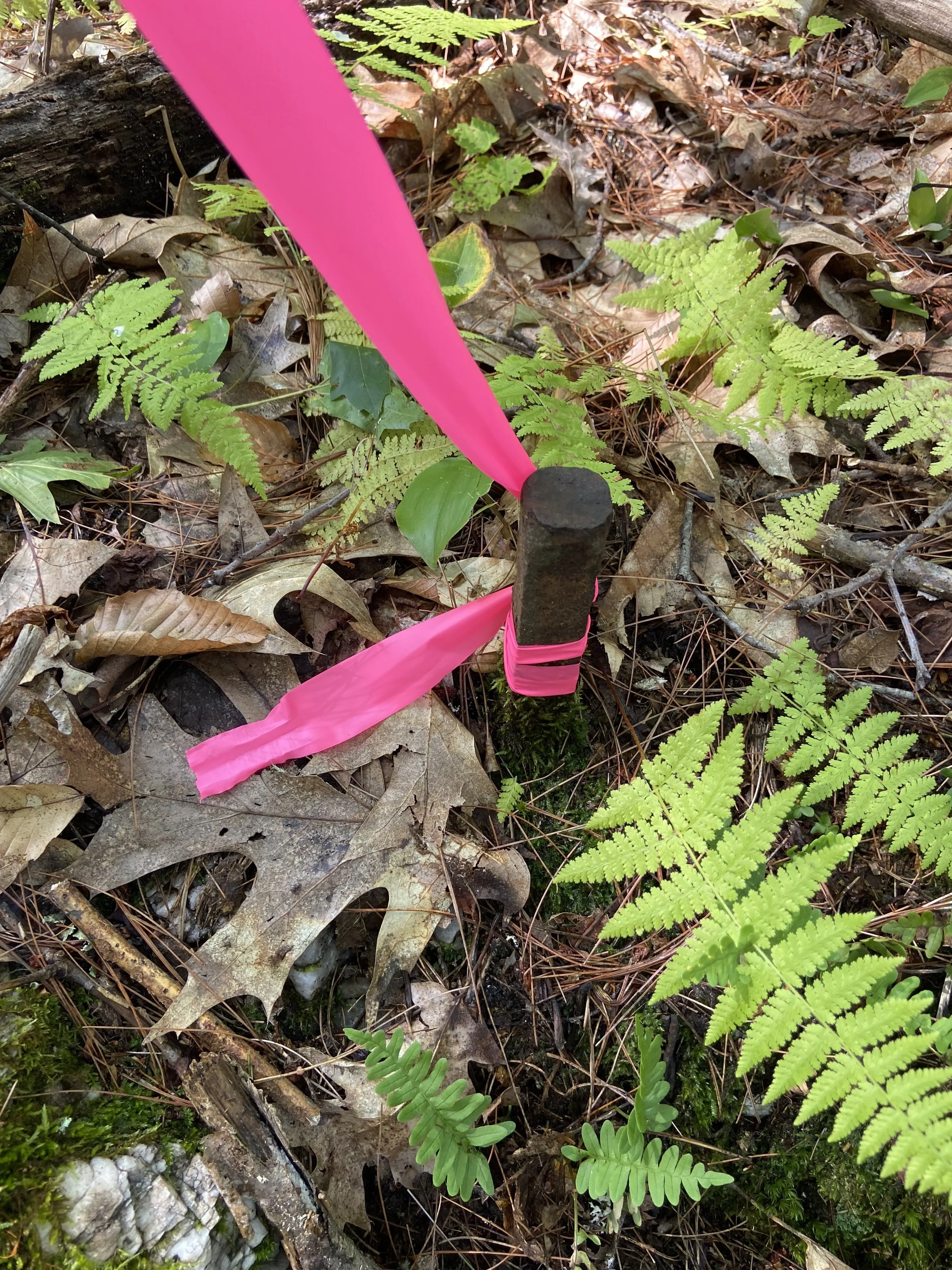 Iron Reference Points