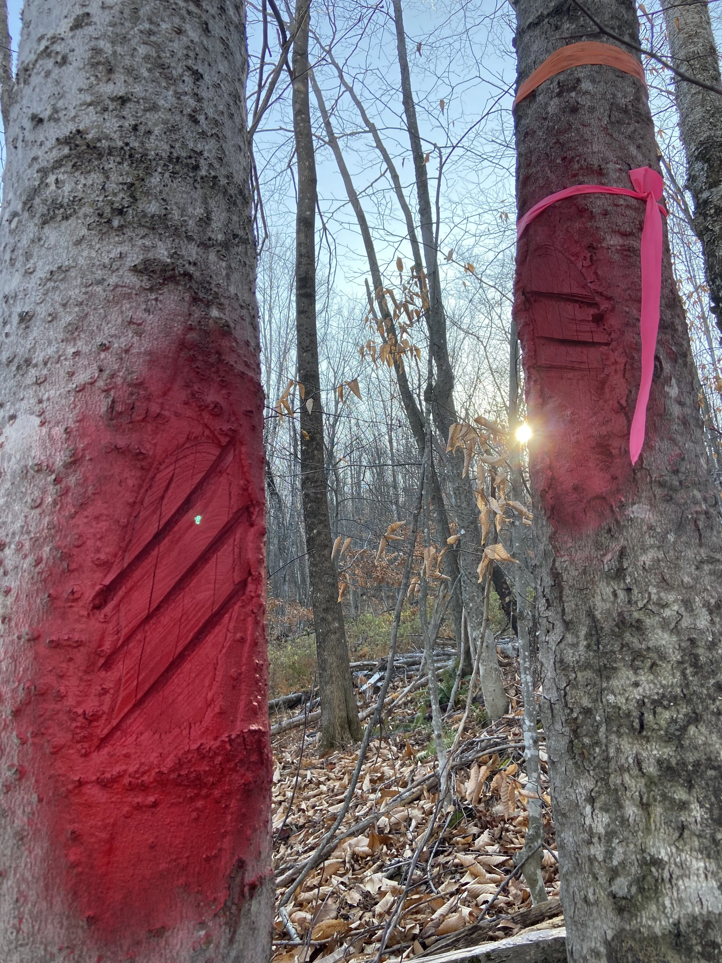 Refresh with Two New Coats of Paint 