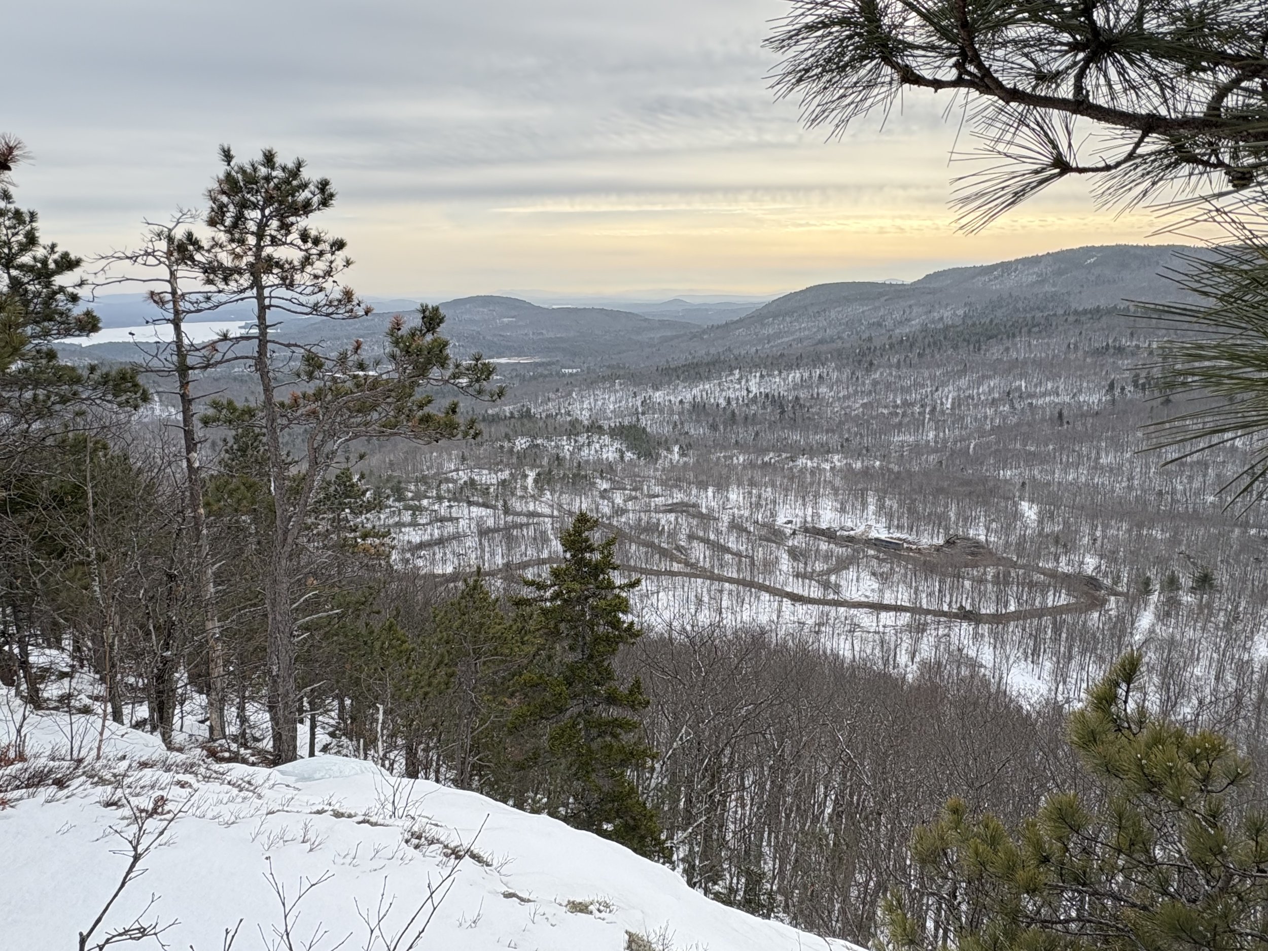 Complete fully mechanized logging operation observed from the height of the land. Chip van and round wood tractor trailers as well as crane and two skidders can be seen. Feller Buncher was captured in the photo as well blocked by overlapping photo