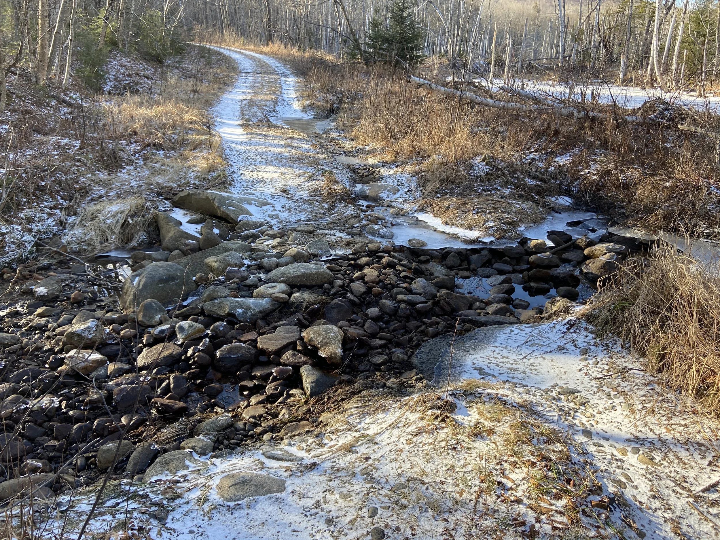 Plugged Culvert Resulting in a Washout
