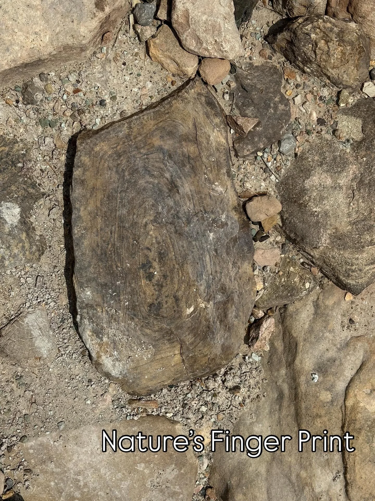 When navigating the path of your choice,
You may doubt,
You may second guess your decision.
Should I have went left instead of right?

But when you come across something that catches your eye~
That brings you back to the present moment with awe&helli