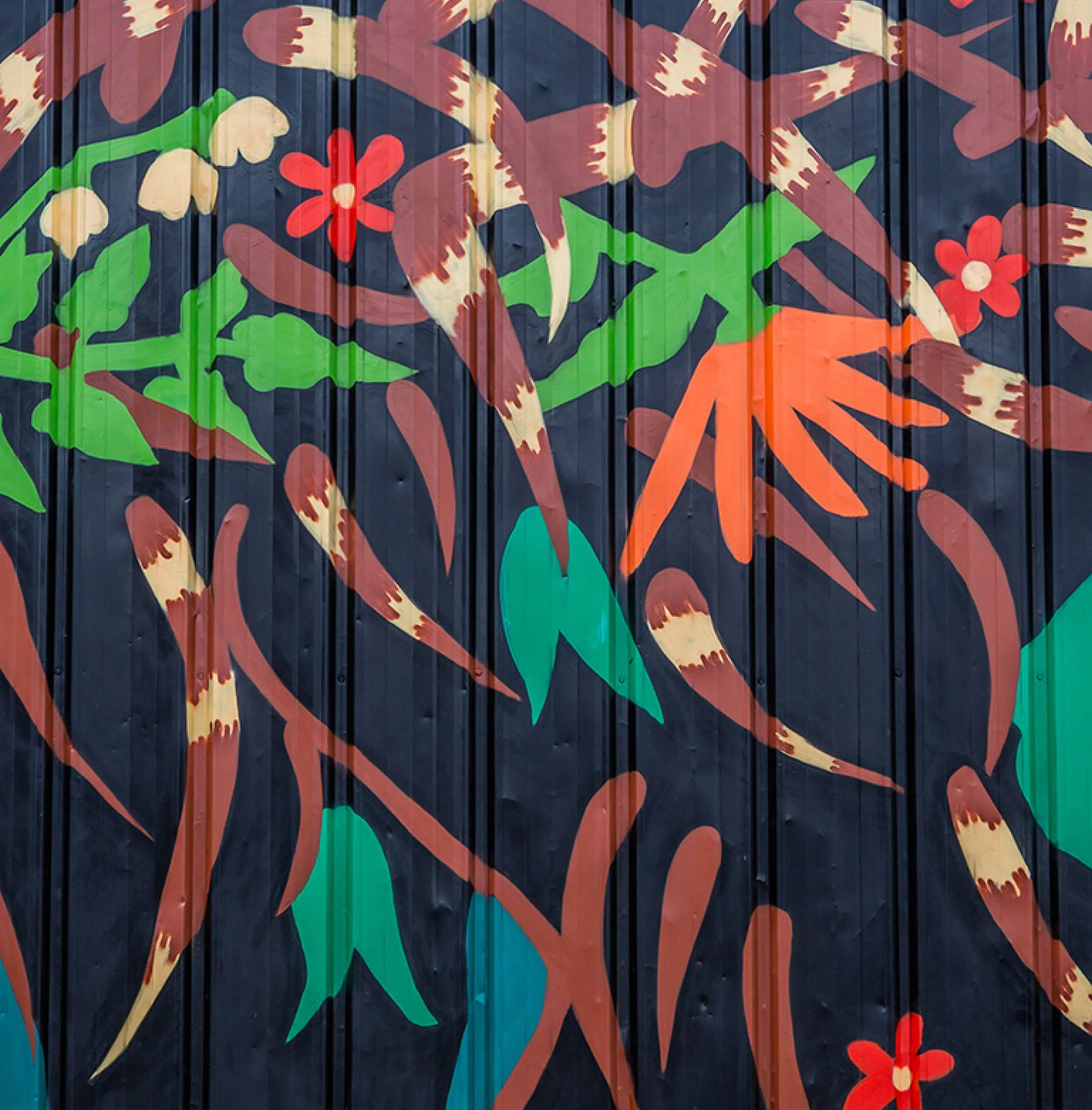 Artist Interview about Mr. Porcupine