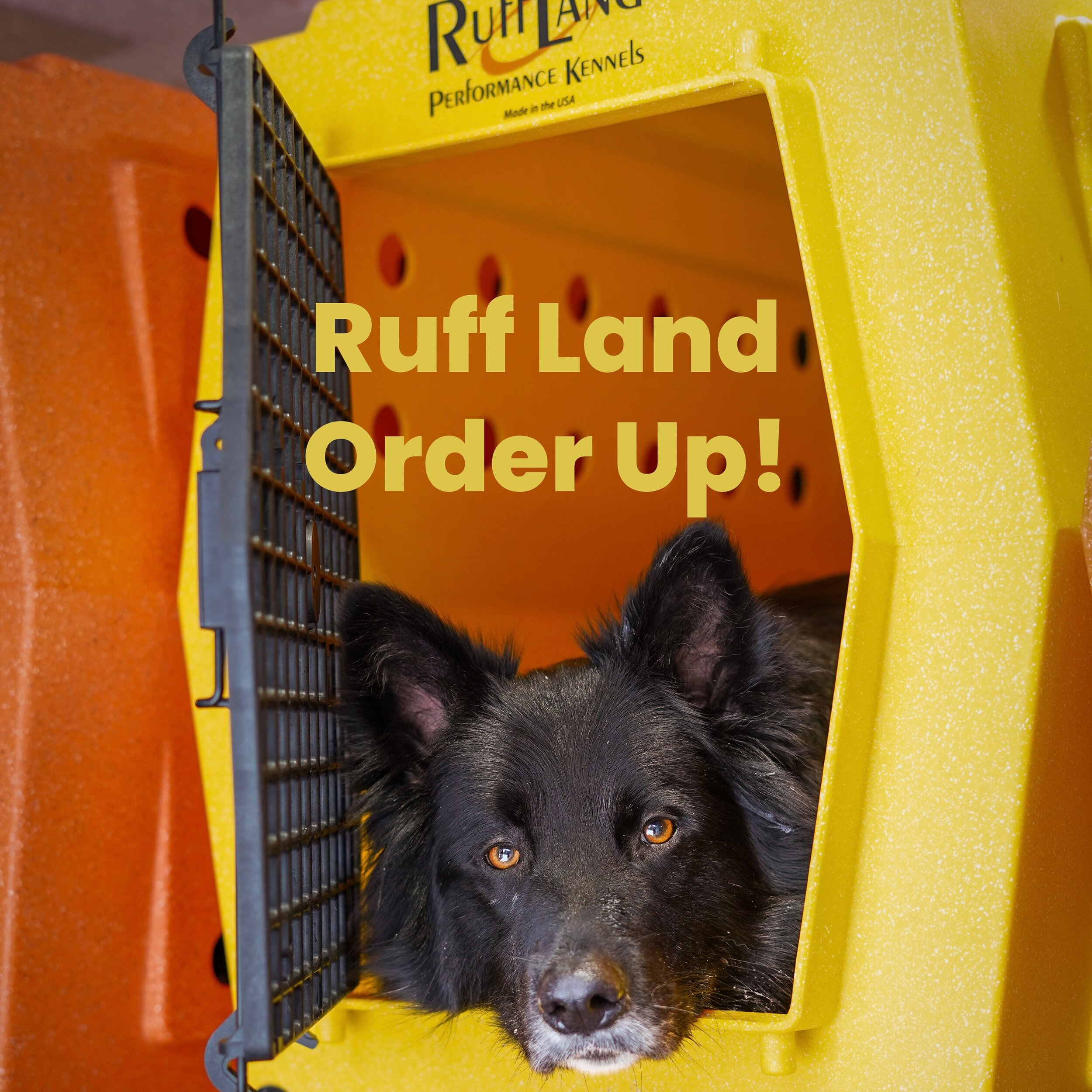 It&rsquo;s that time again! If you haven&rsquo;t emailed us about your Ruff Land Kennel order - please click on the email button in our profile and let us know what you&rsquo;re interested in! Our order deadline is March 13th. You&rsquo;re welcome to