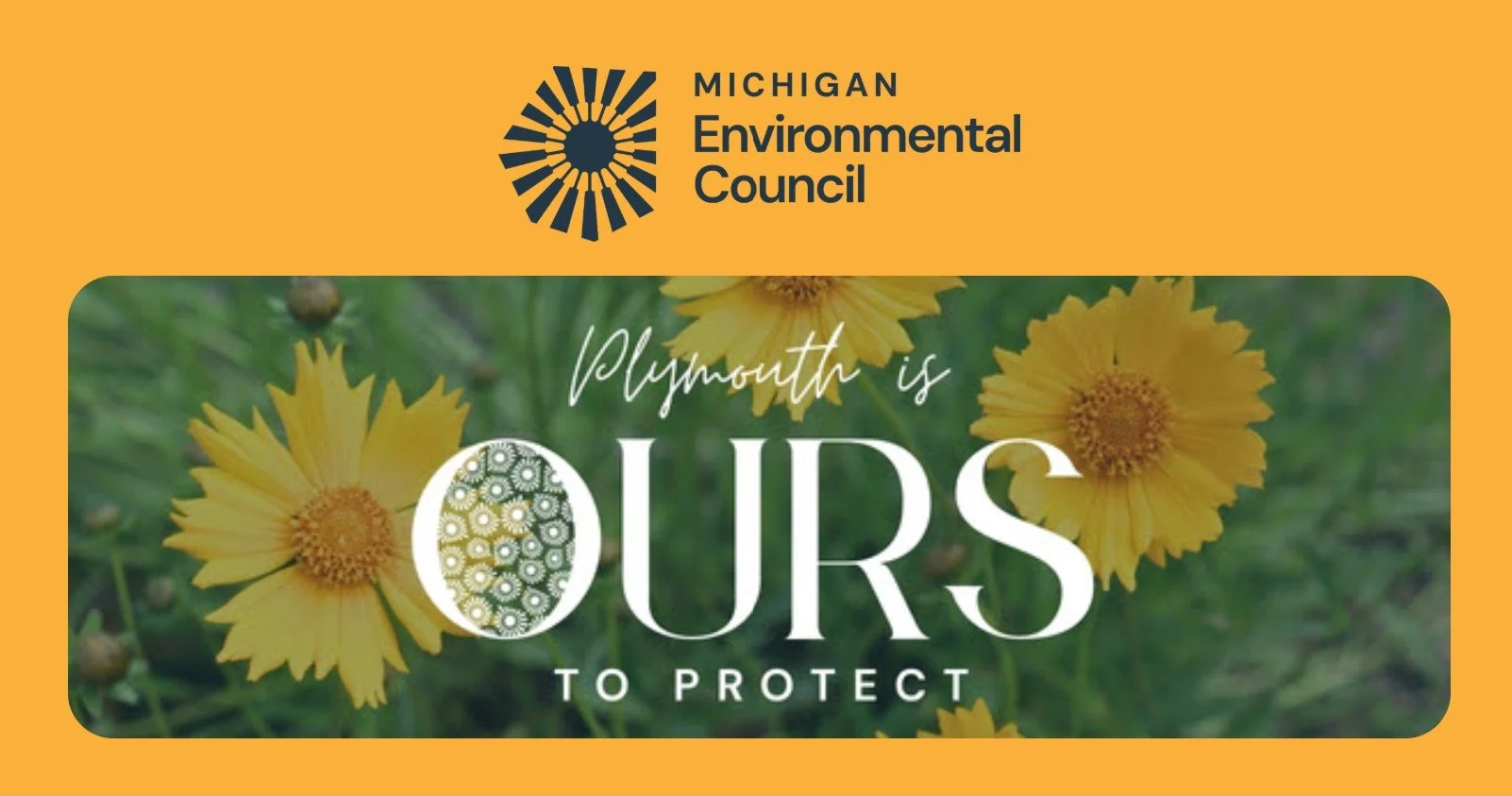 Plymouth Ours To Protect - Environmental Conversation