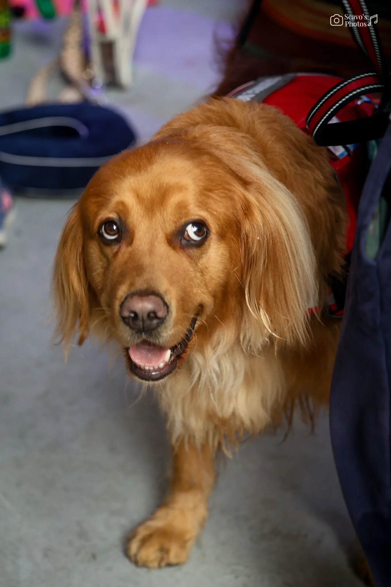 Photo Jun 18 2025, 9 43 56 AM.jpg