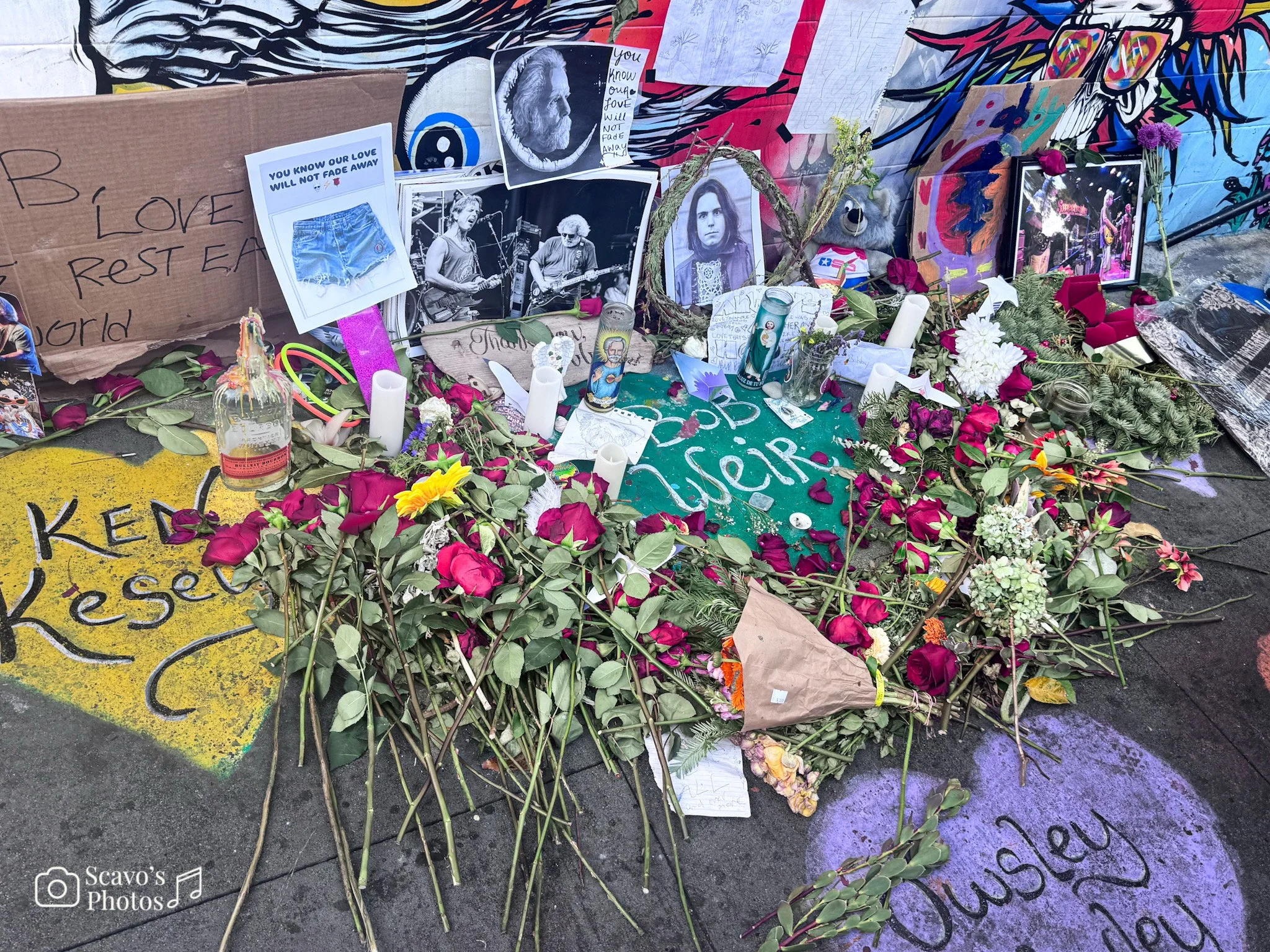 Bobby Weir's Homecoming