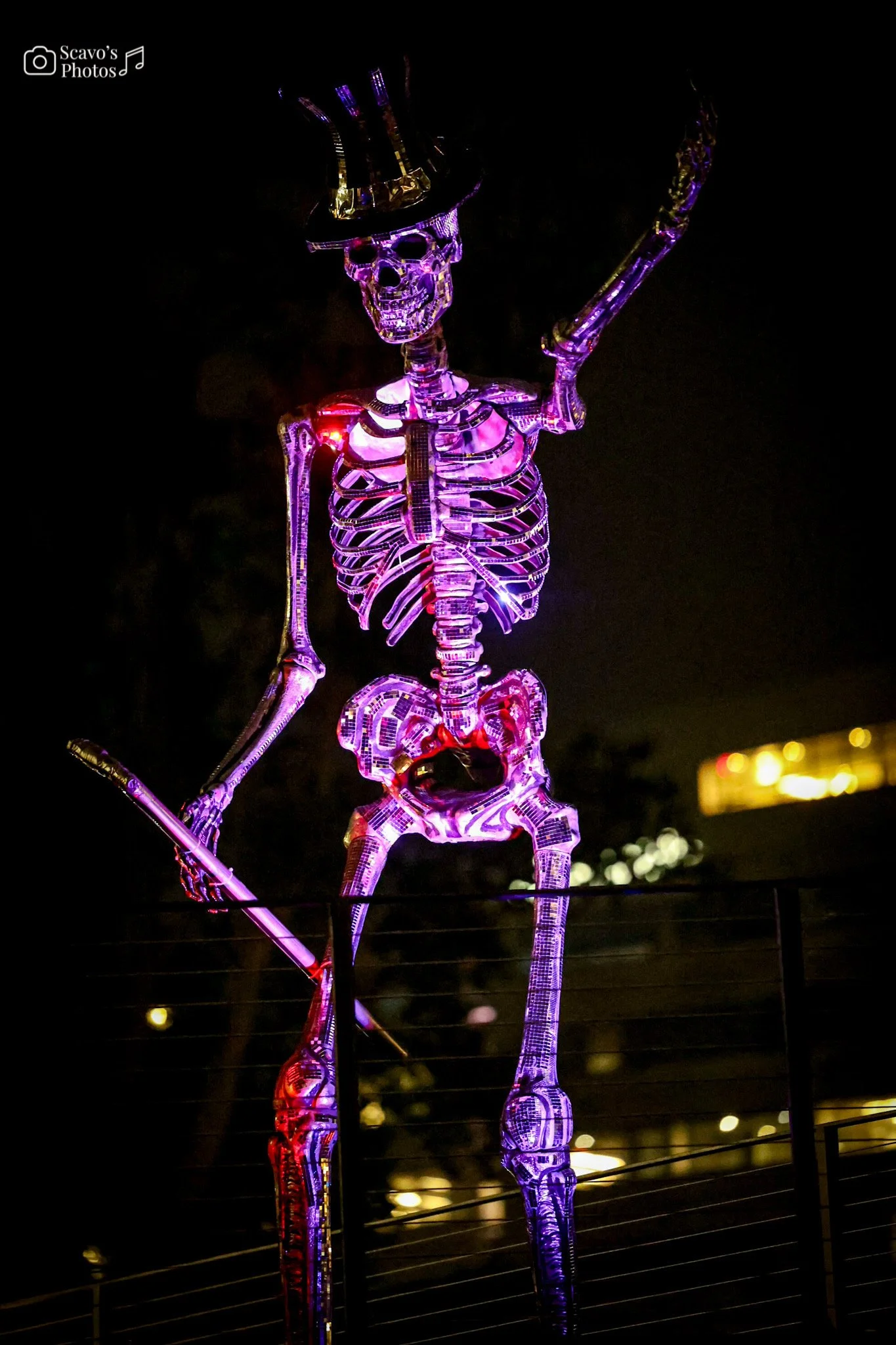 Photo Jun 17 2025, 7 58 58 PM.jpg