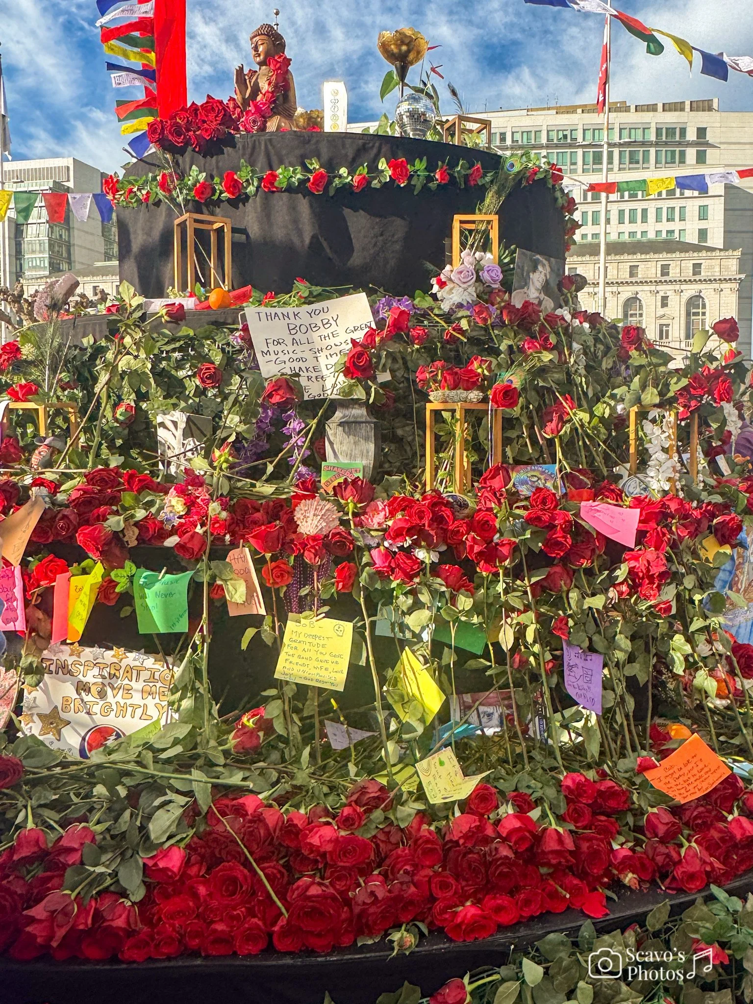 Photo Jan 18 2026, 4 07 46 PM.jpg