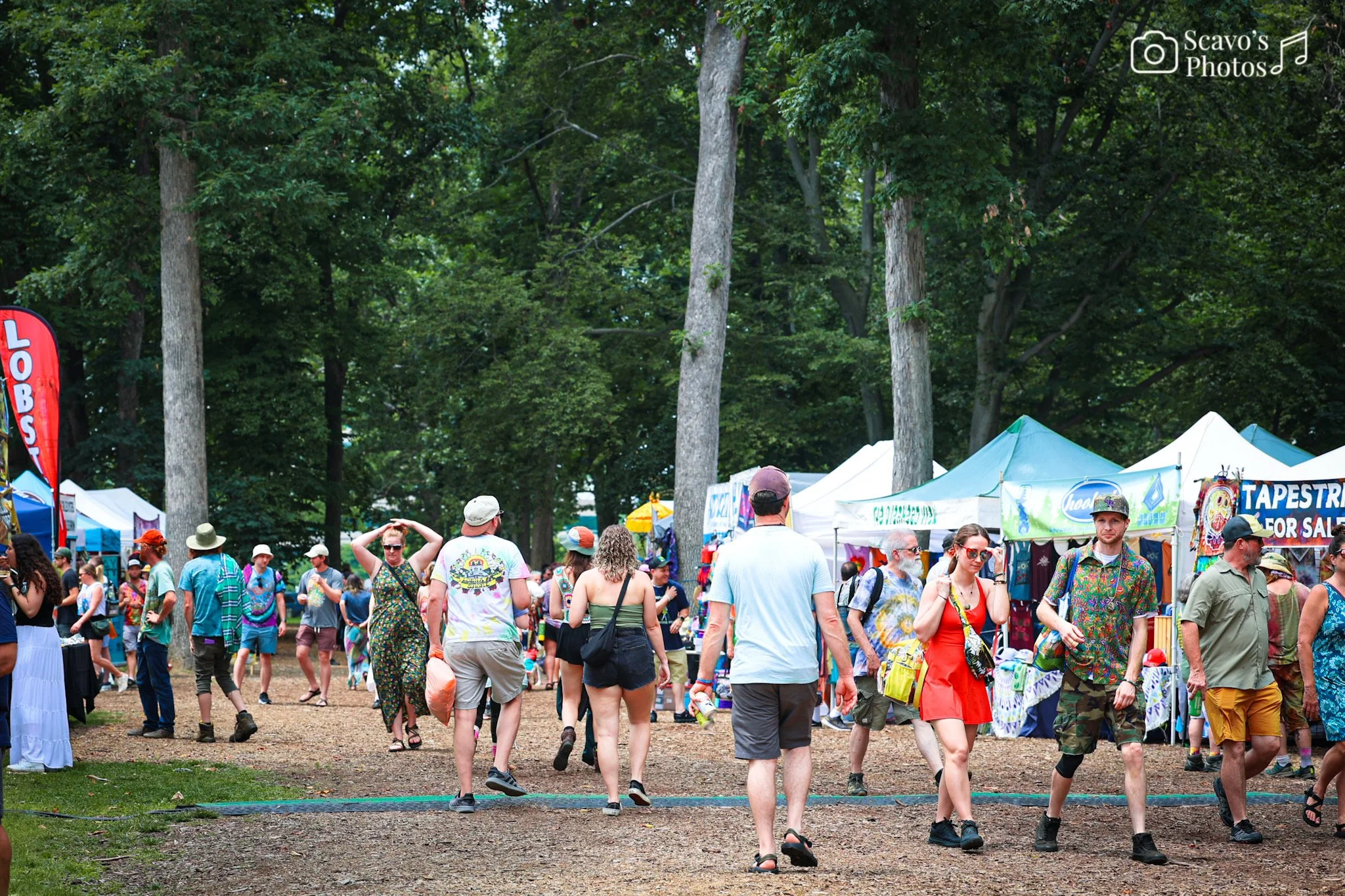 Photo Jun 17 2025, 7 01 34 PM.jpg