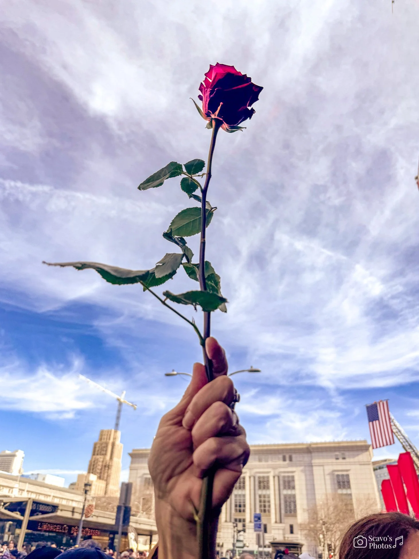 Photo Jan 18 2026, 4 18 42 PM (7).jpg