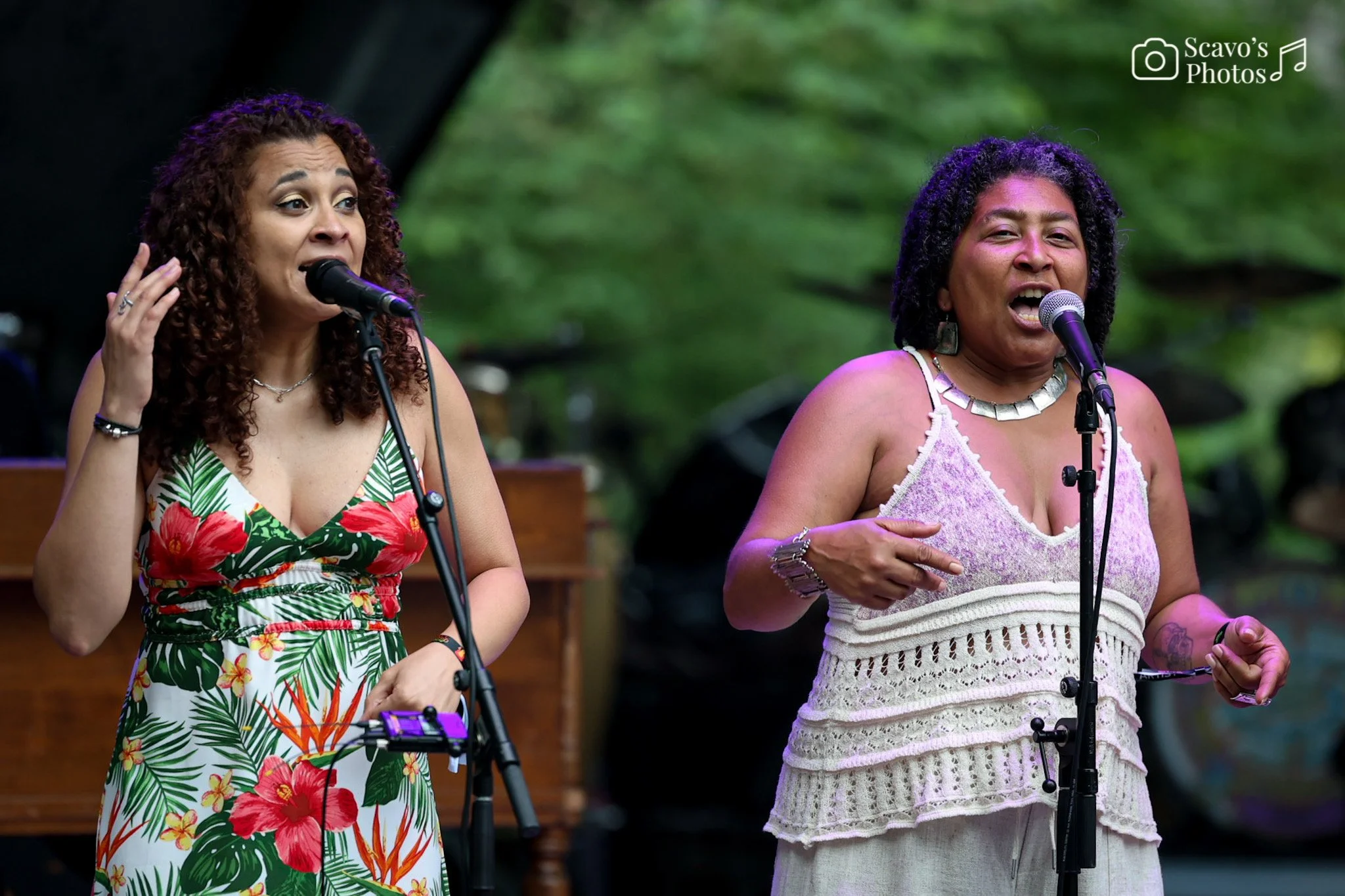 Photo Jun 17 2025, 10 16 53 PM.jpg