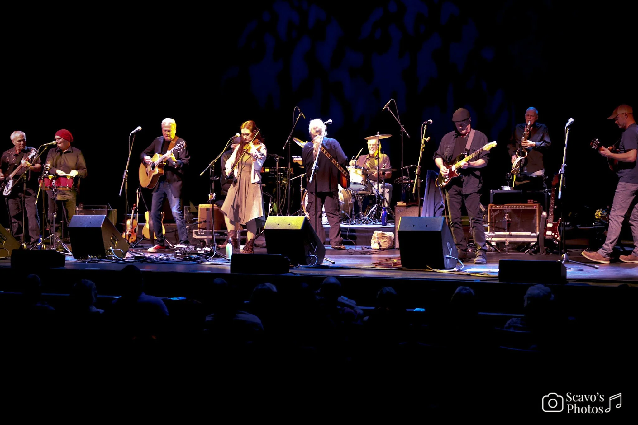 Ozark Mountain Daredevils