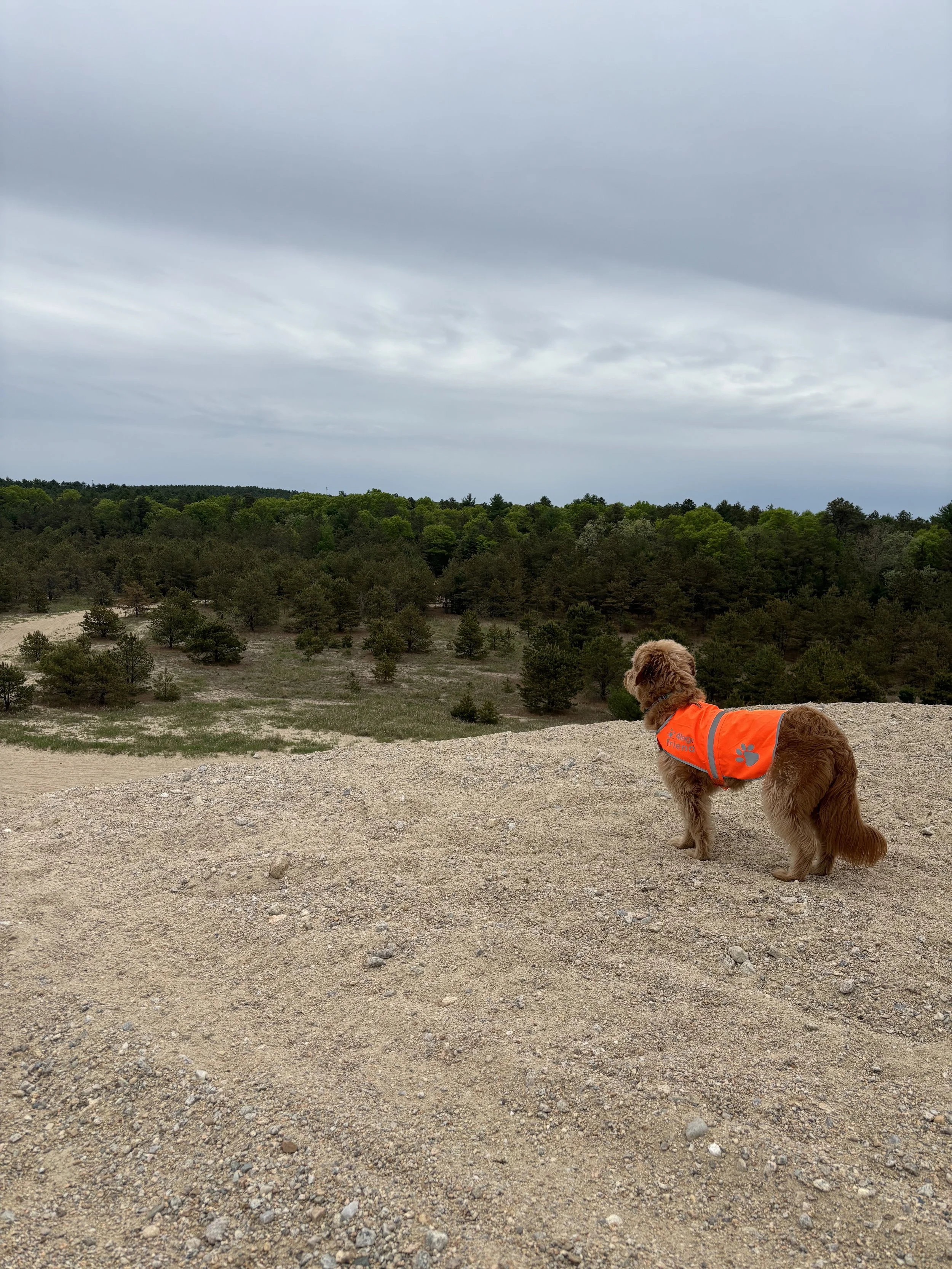 dog hiking rhode island