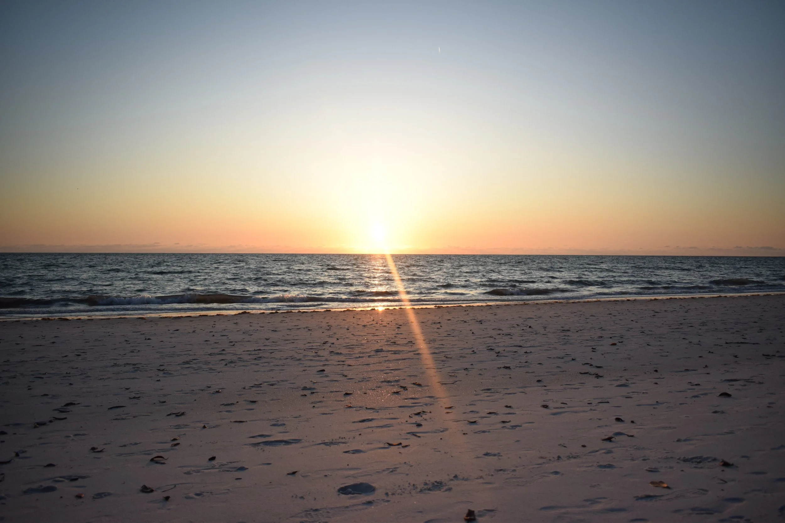 Self Awareness / Improvement (Prompts)