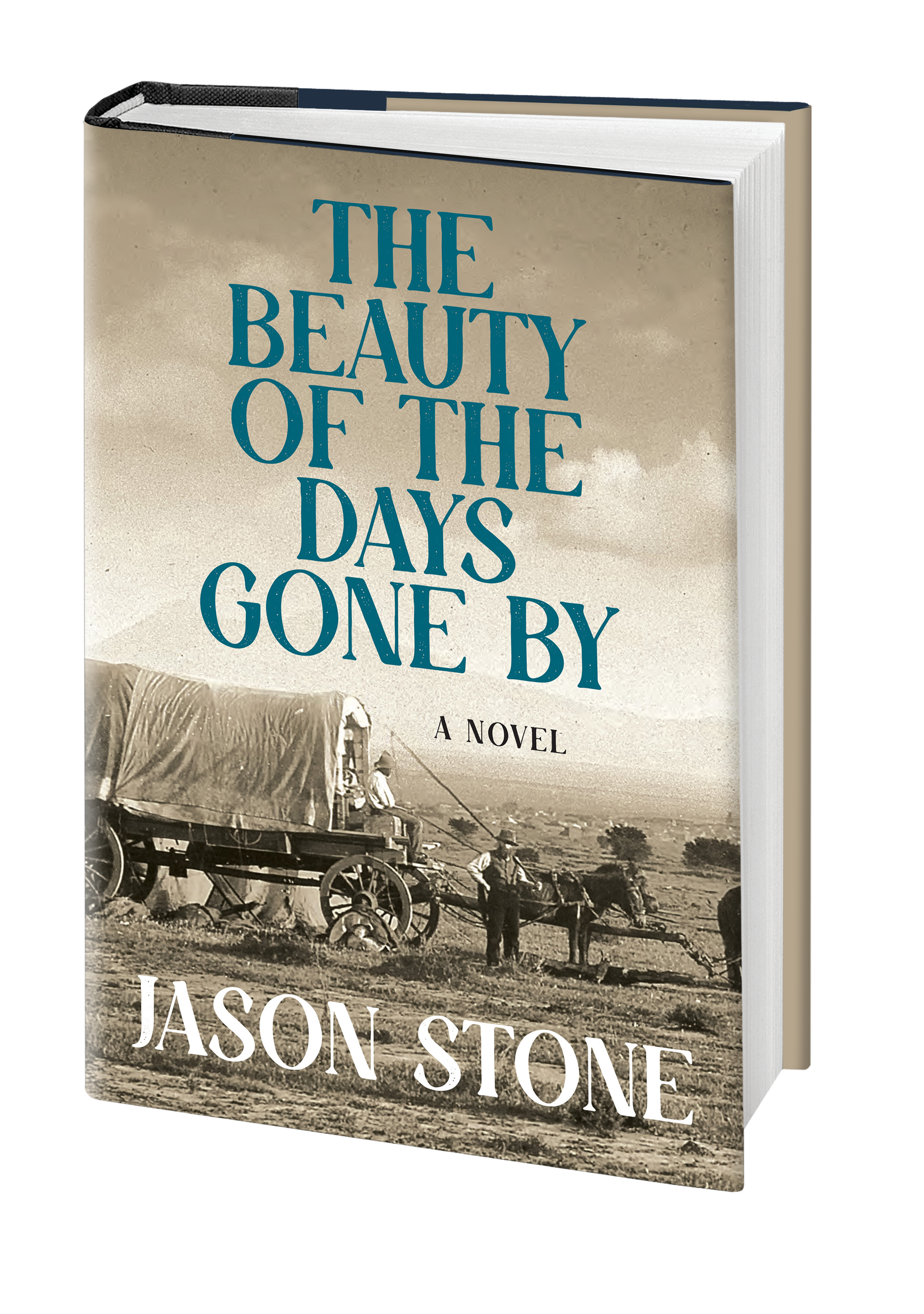 BEAUTY OF THE DAYS GONE BY 3d hc.png