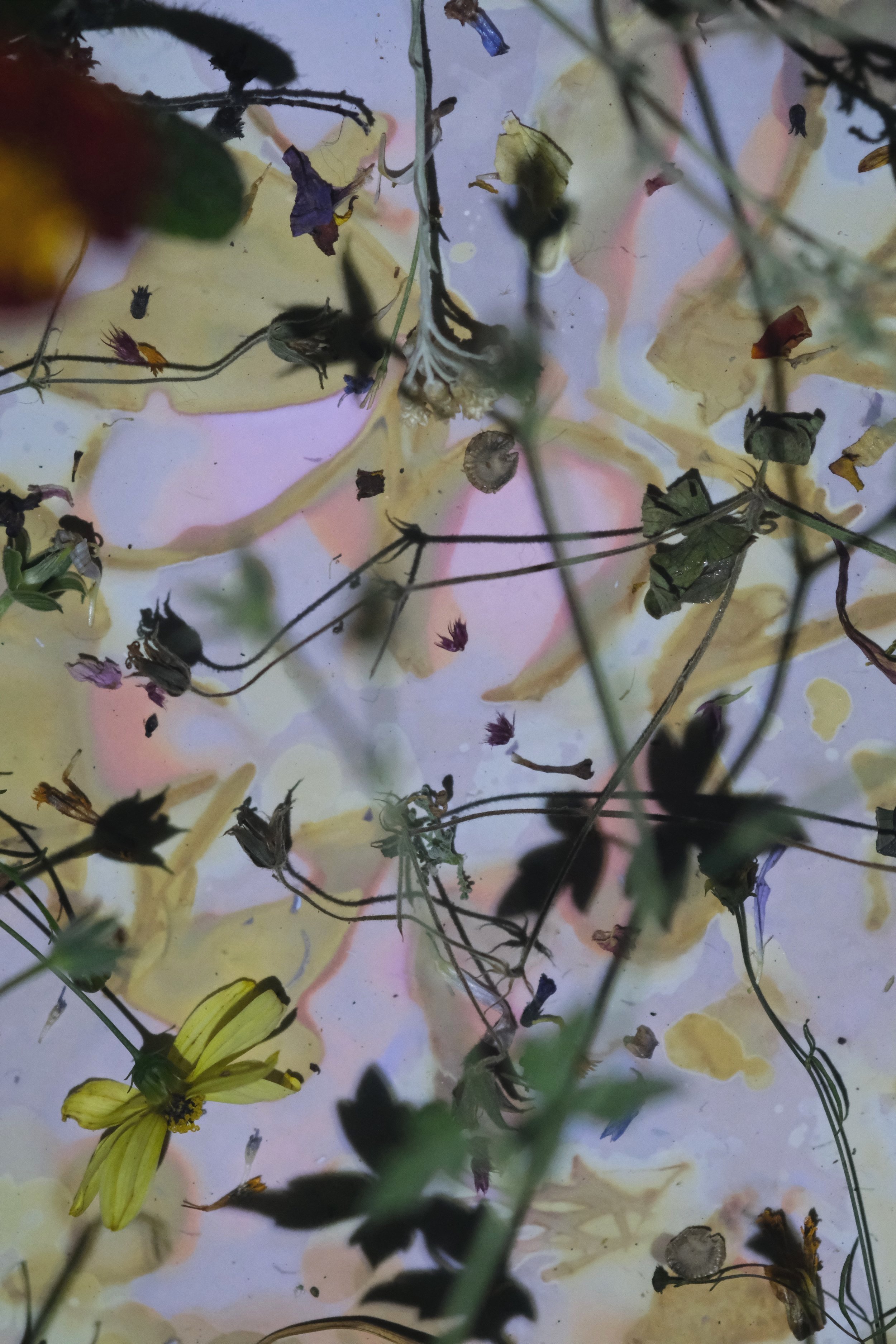DSCF3826.jpg