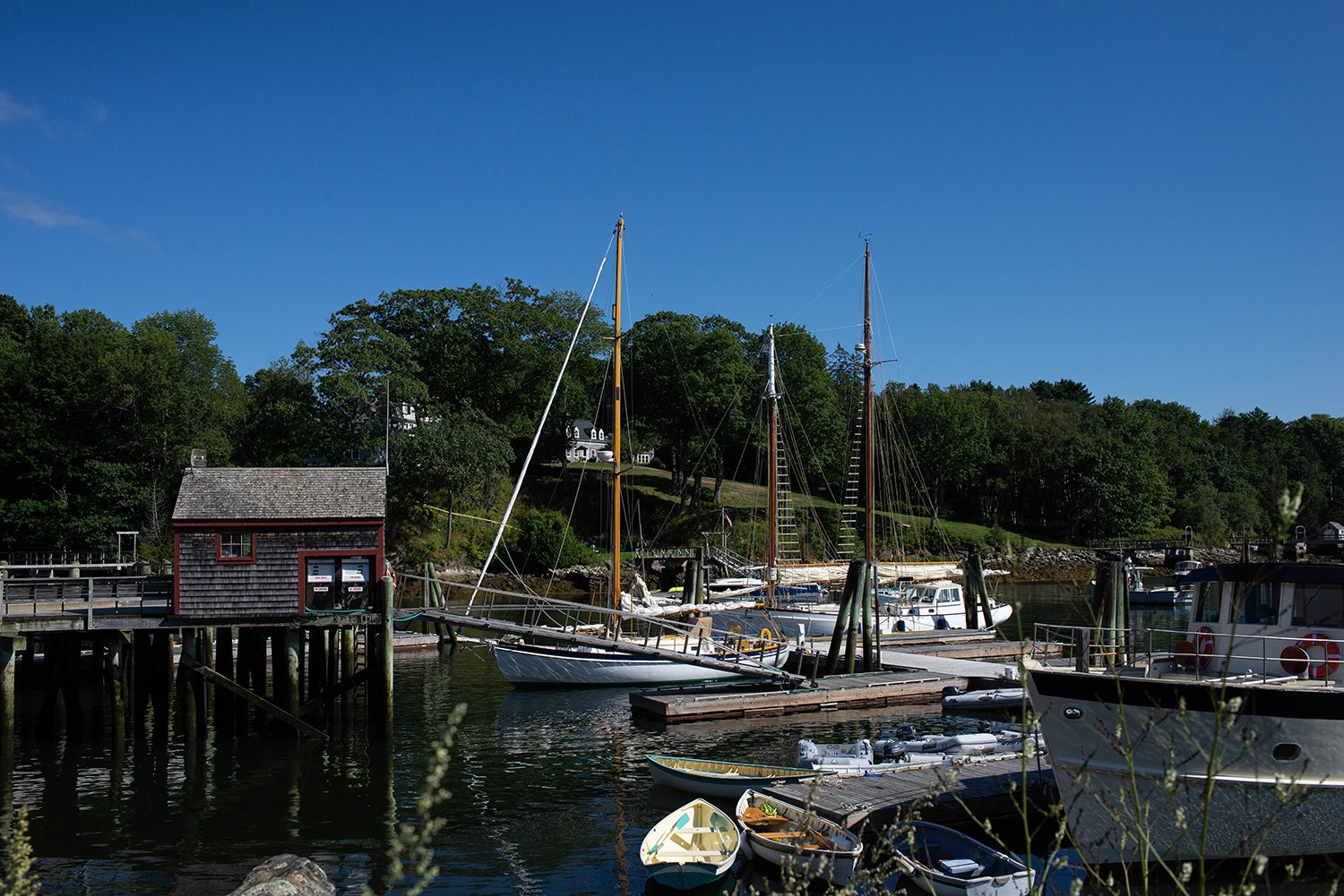 DSC_3246.jpg