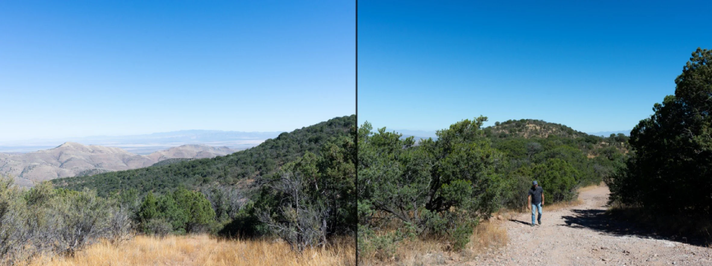 Screenshot 2025-11-09 150039.jpg