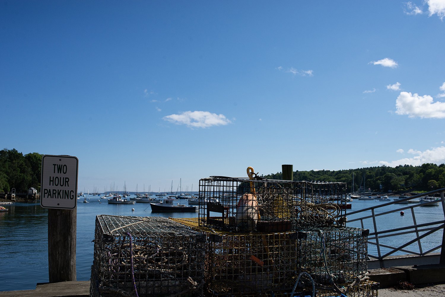 DSC_3248 c.jpg