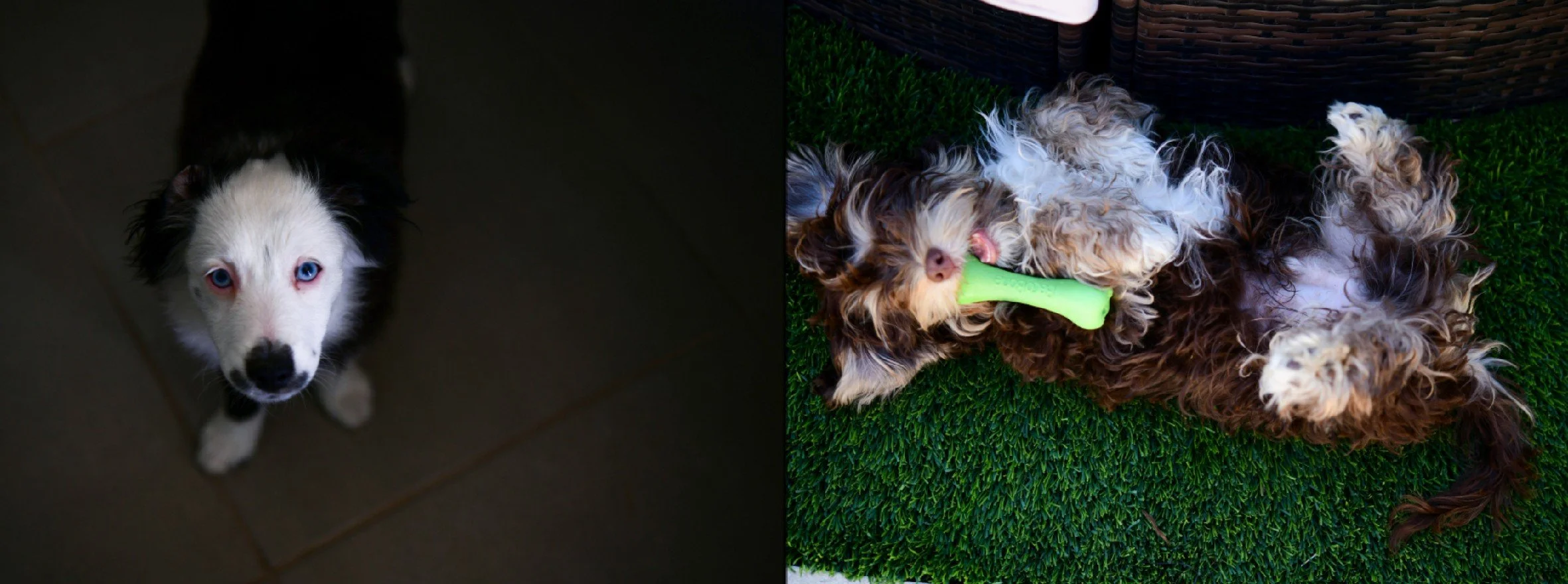 Screenshot 2025-11-09 145834.jpg