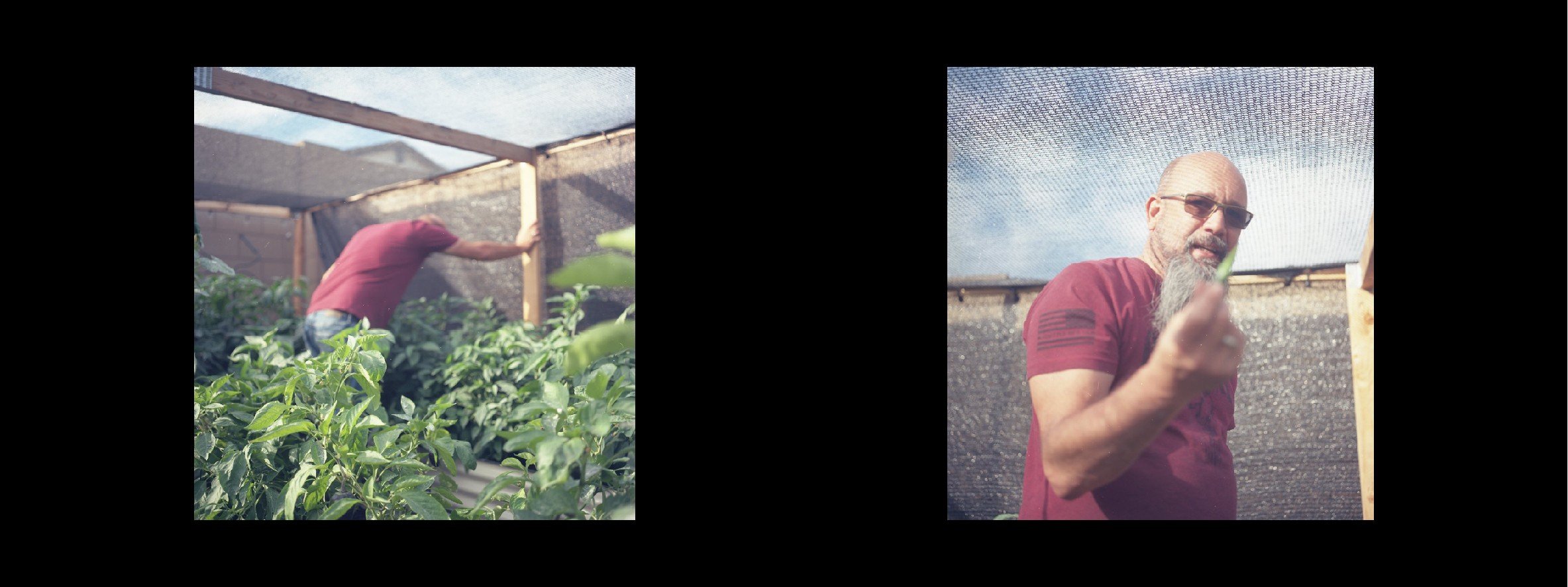 Screenshot 2025-11-09 145503.jpg