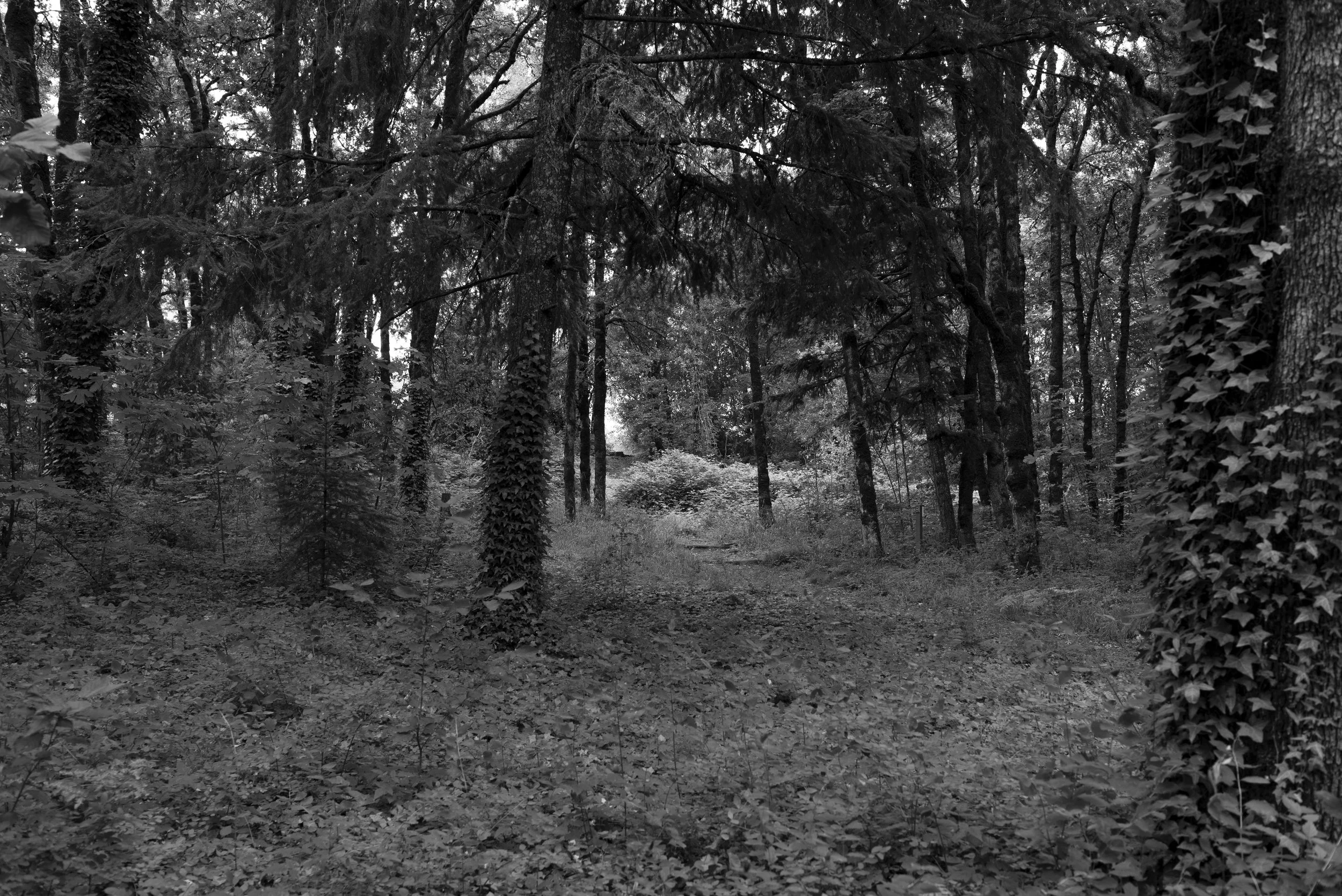 DSC_3152.jpg
