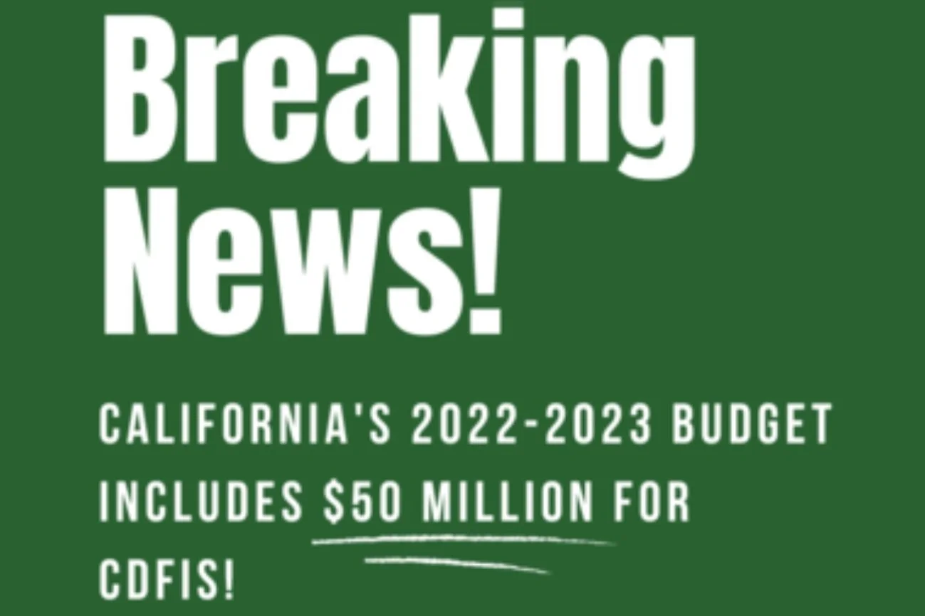 California State Policy Updates: Supporting Small Business
