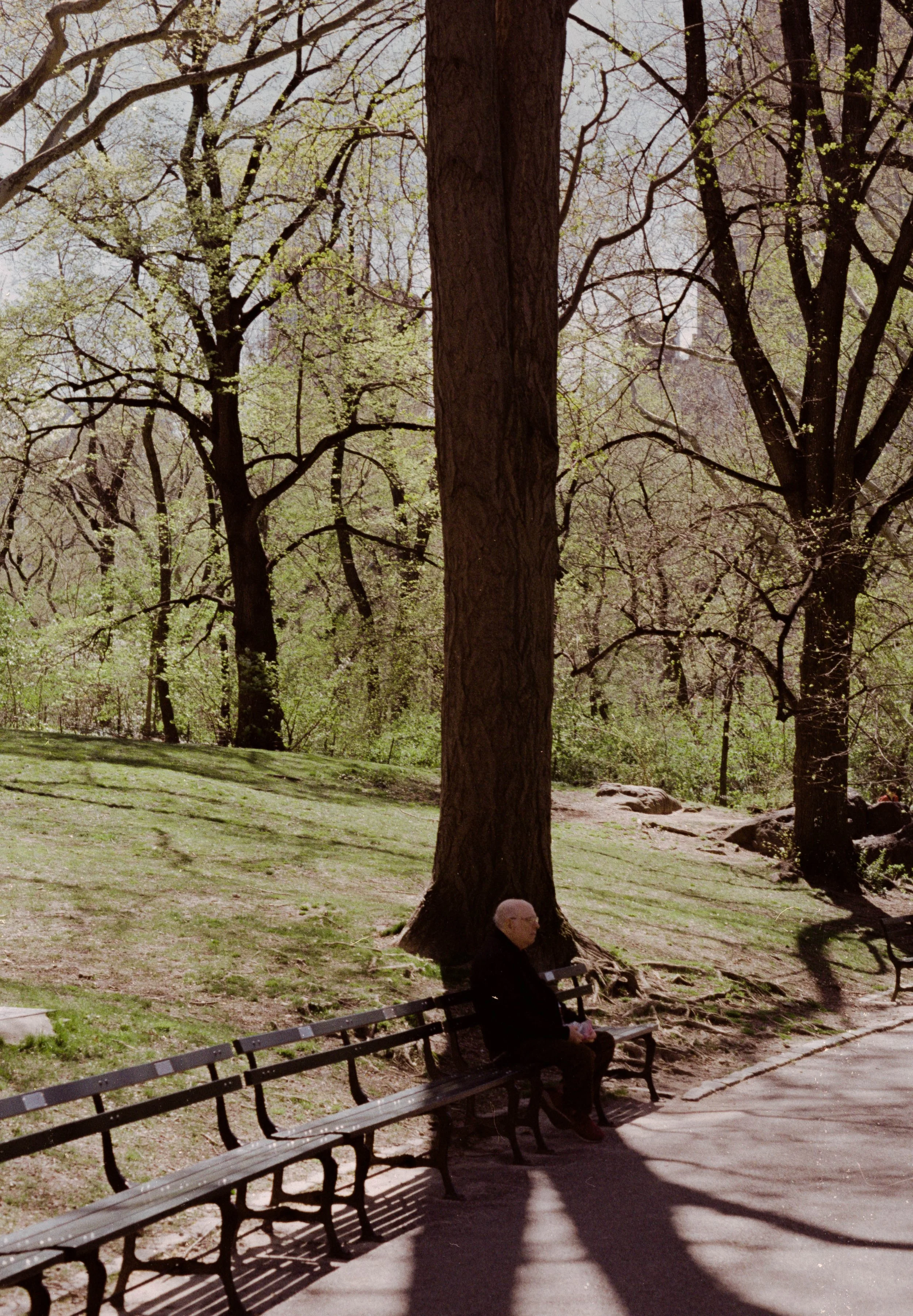 Sin título (31).jpg