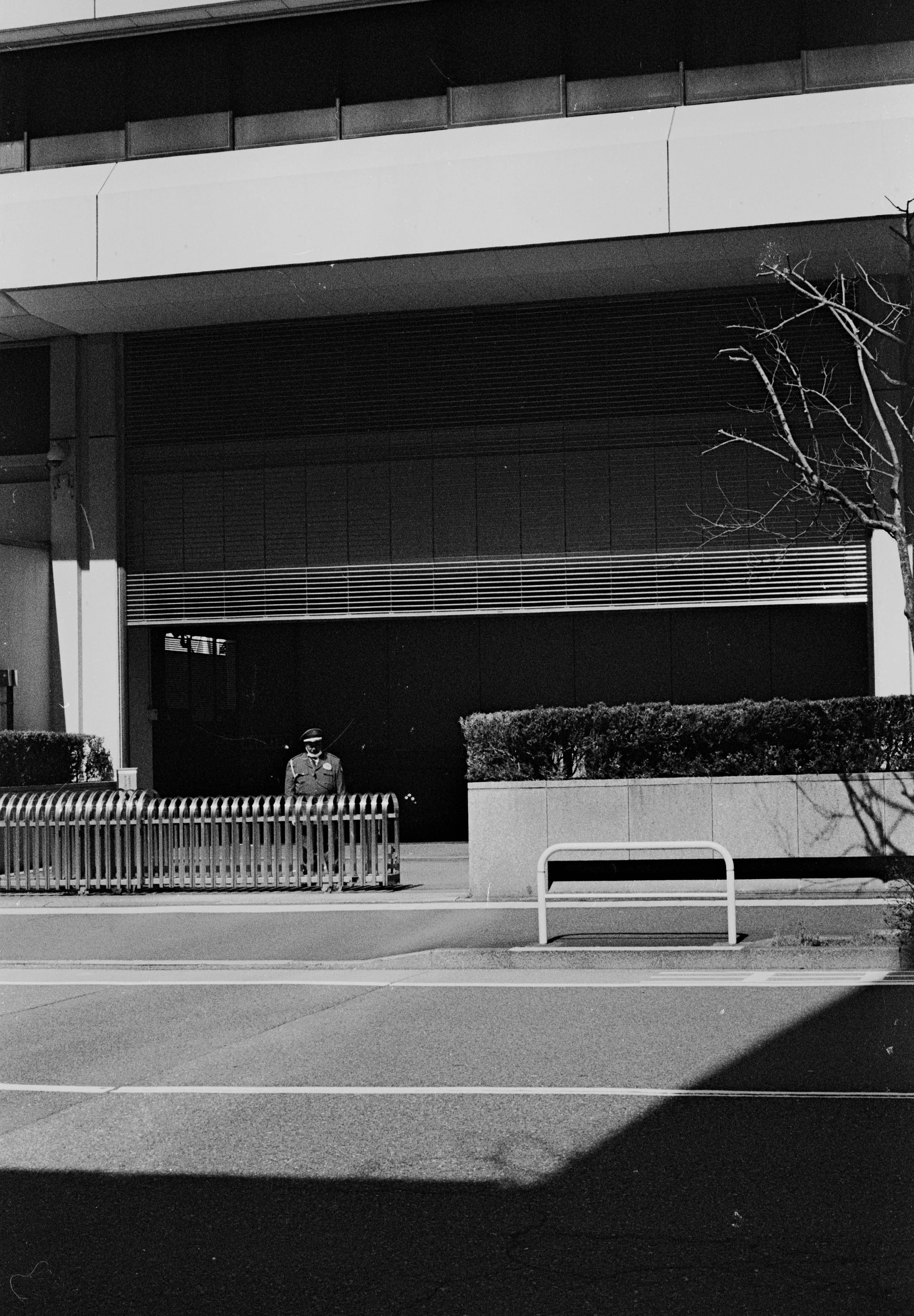 Sin título (12).jpg