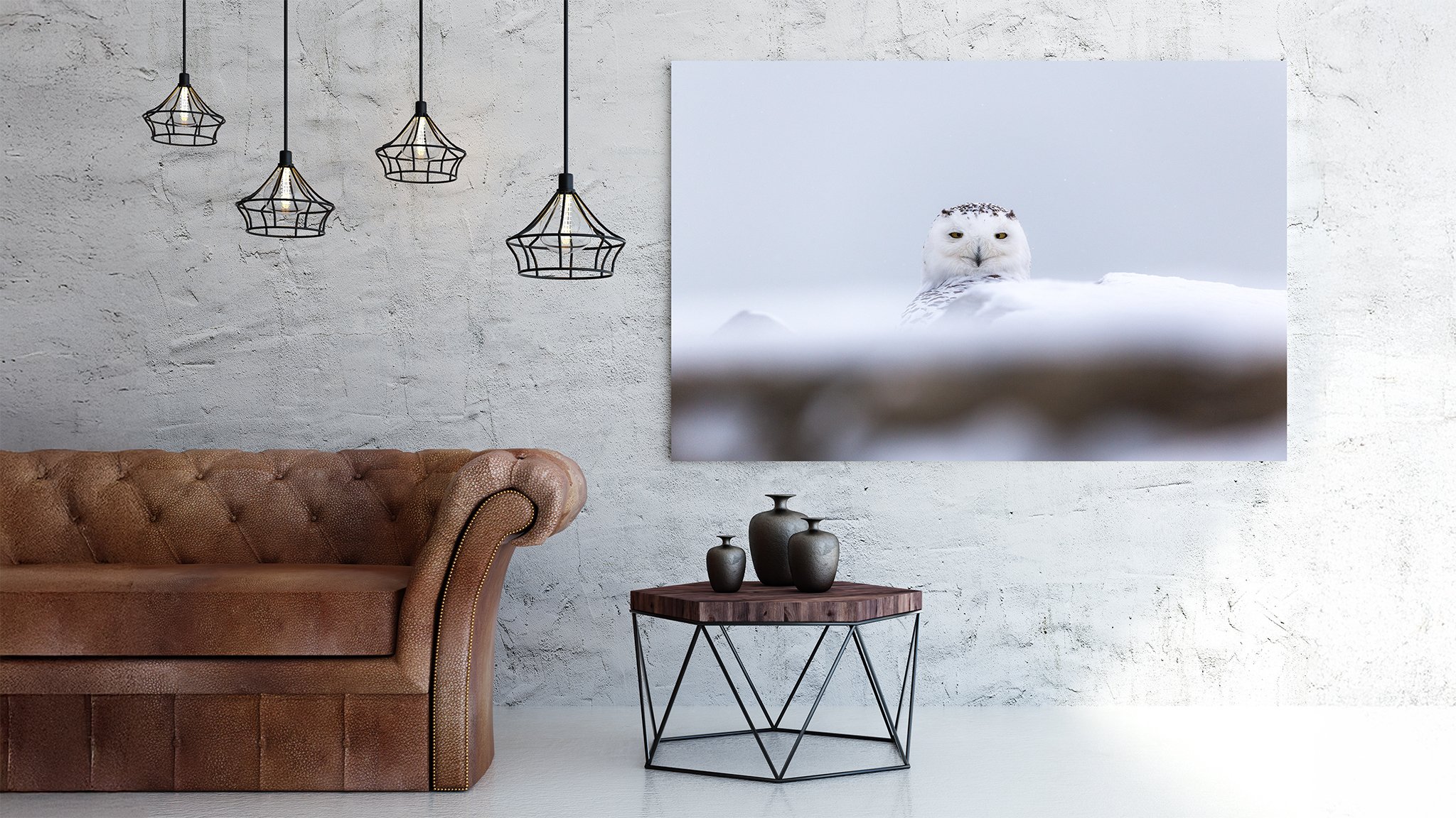 Snowy Owl I.jpg