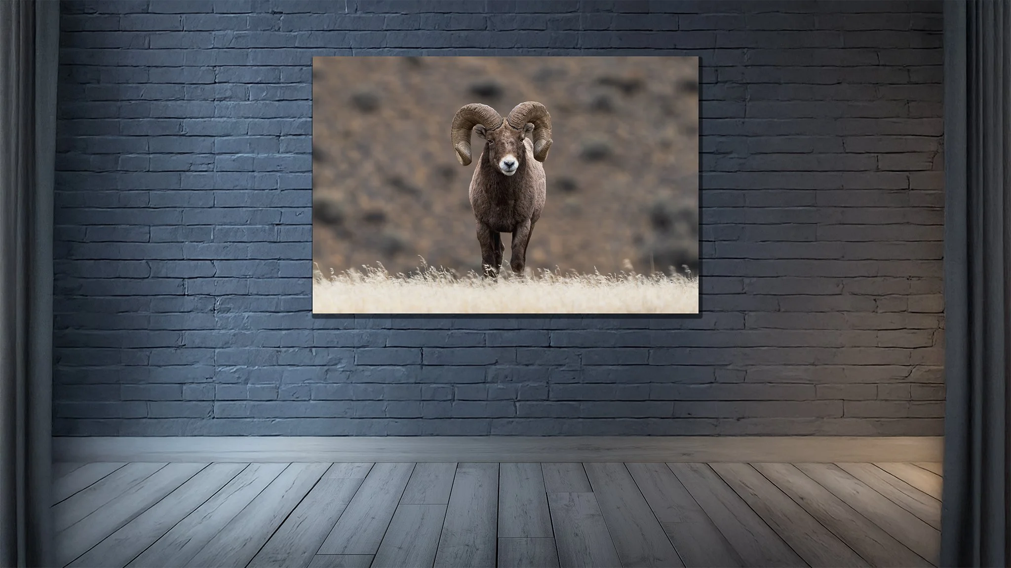 Ram Tough - Room Mock Up.jpg