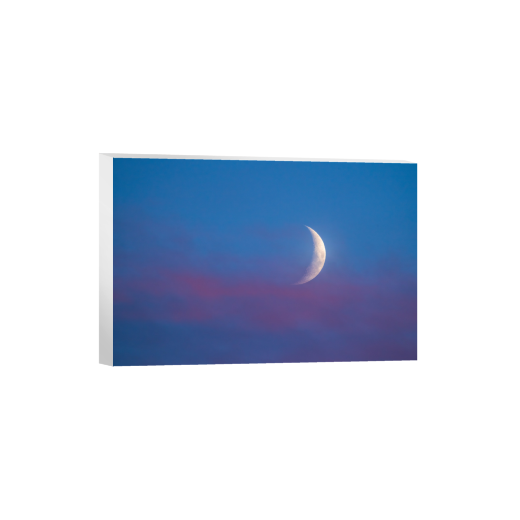 ptq_7_3_0_1_7952_5301_0_false_ffffff_0_0_.png