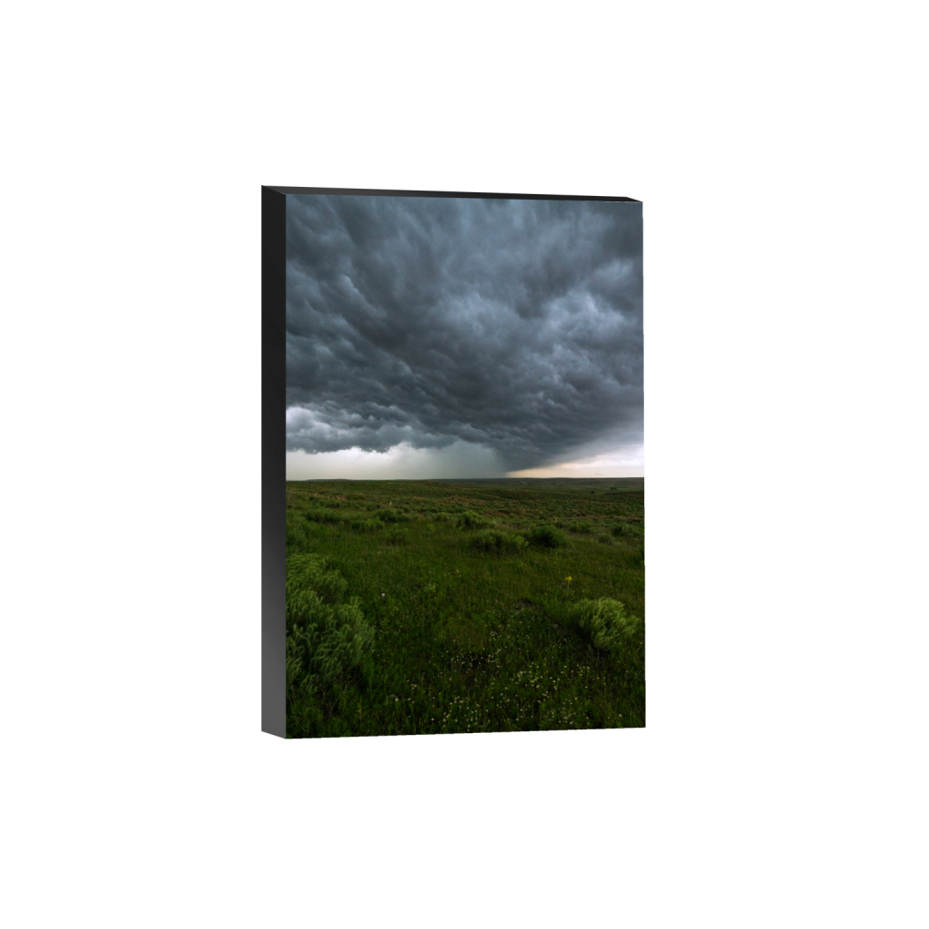 ptq_32_3_0_0_4504_6756_0_false_ffffff_0_0_.png