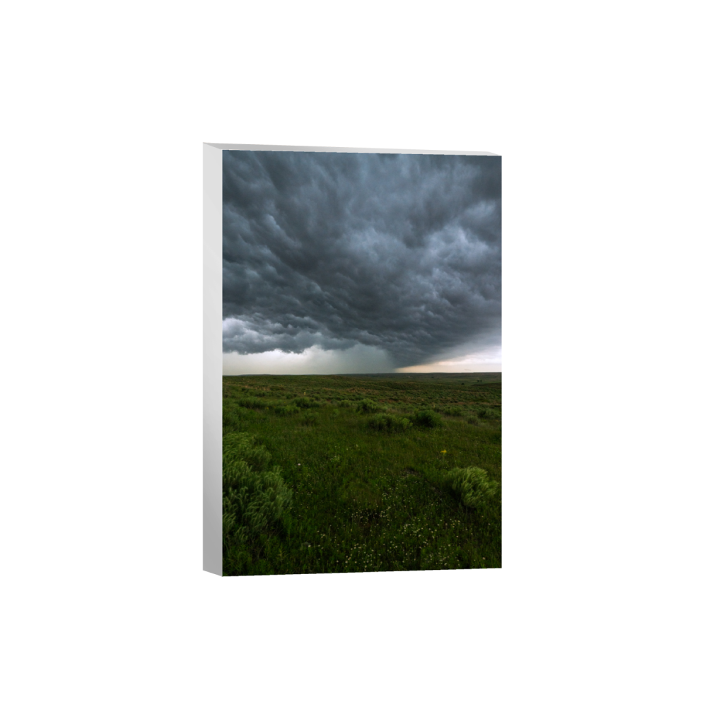 ptq_7_3_0_0_4504_6756_0_false_ffffff_0_0_.png