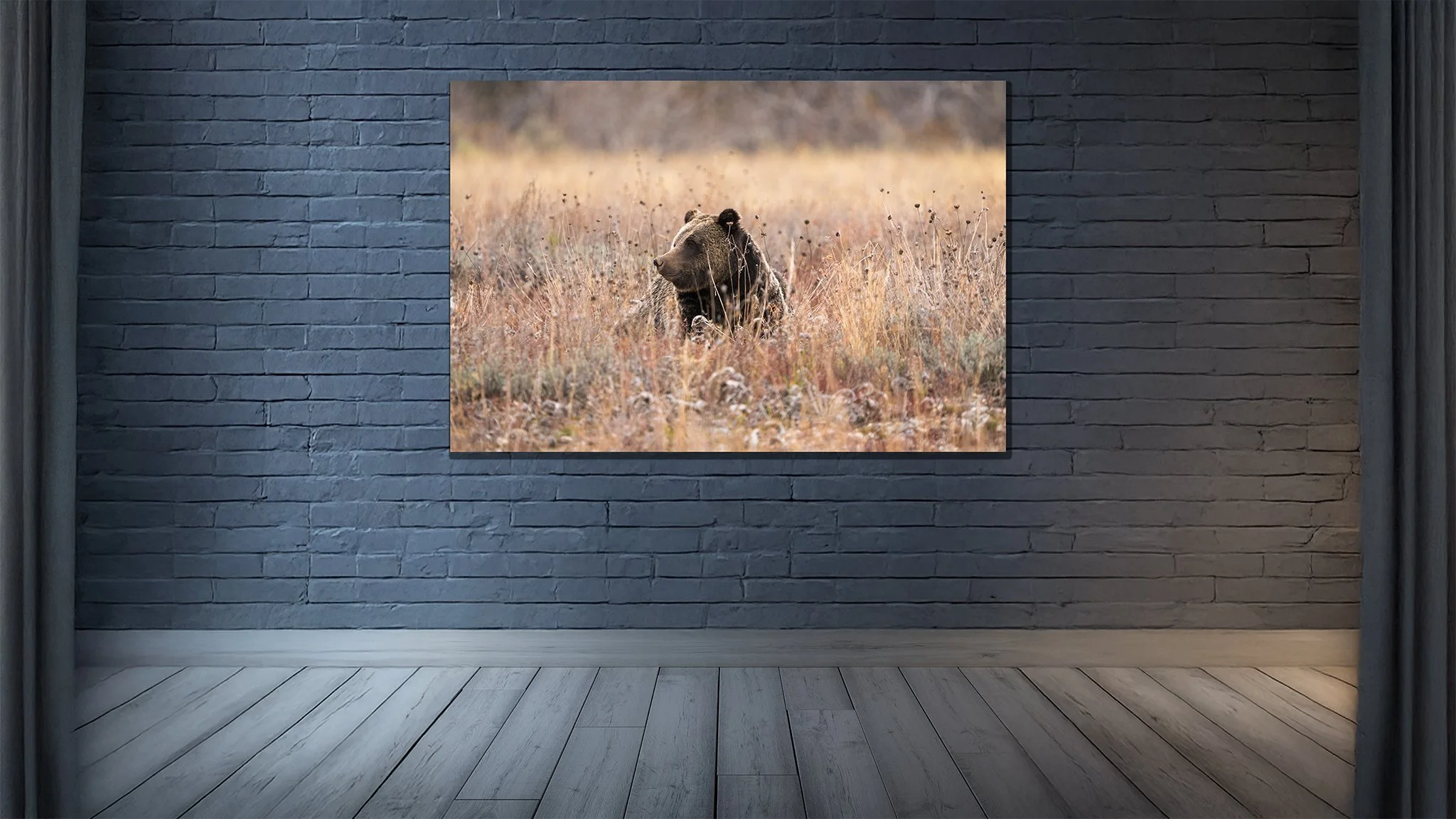 Bonita - Print Mock Up.jpg