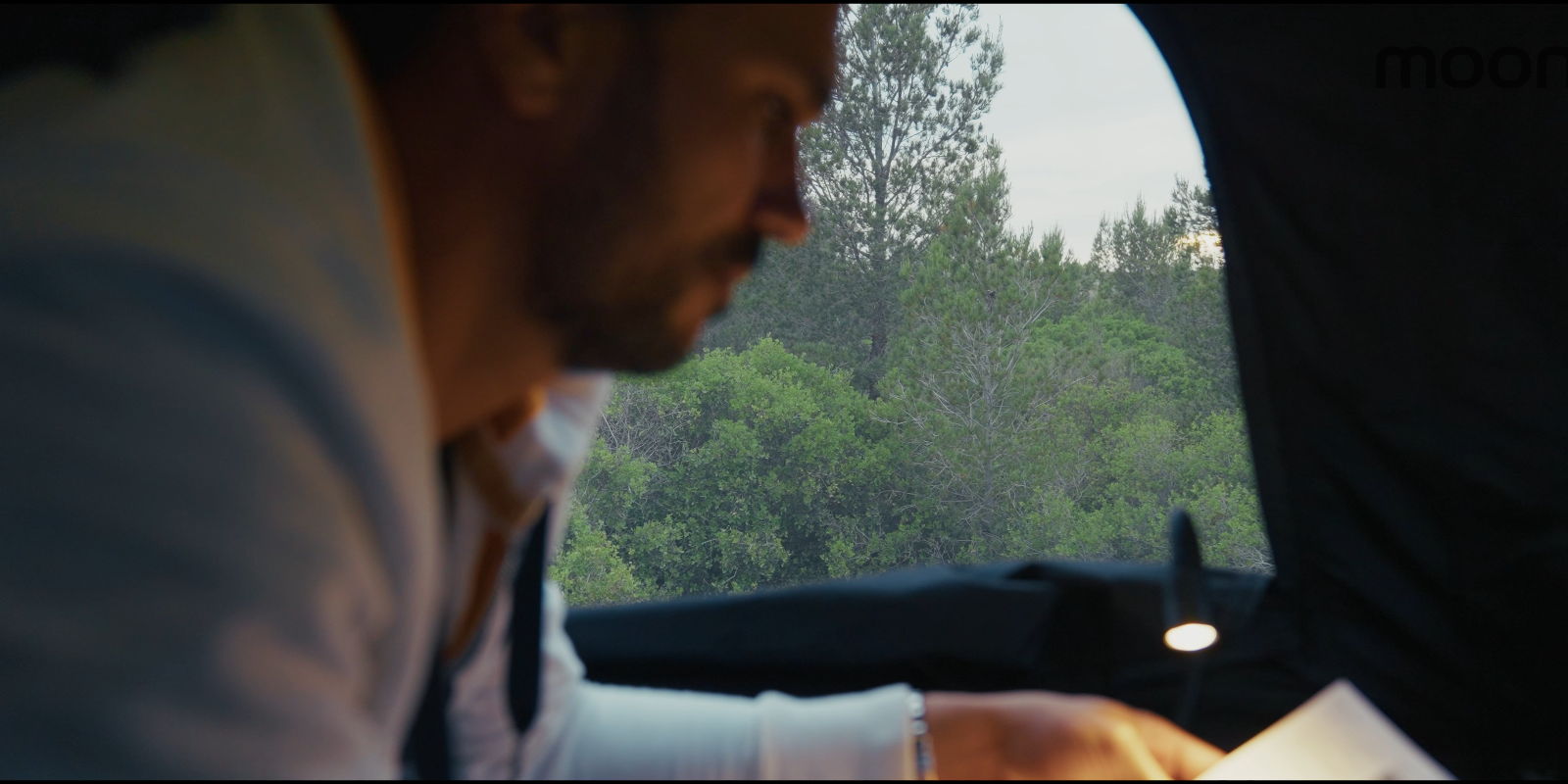 toit family moon 3.png