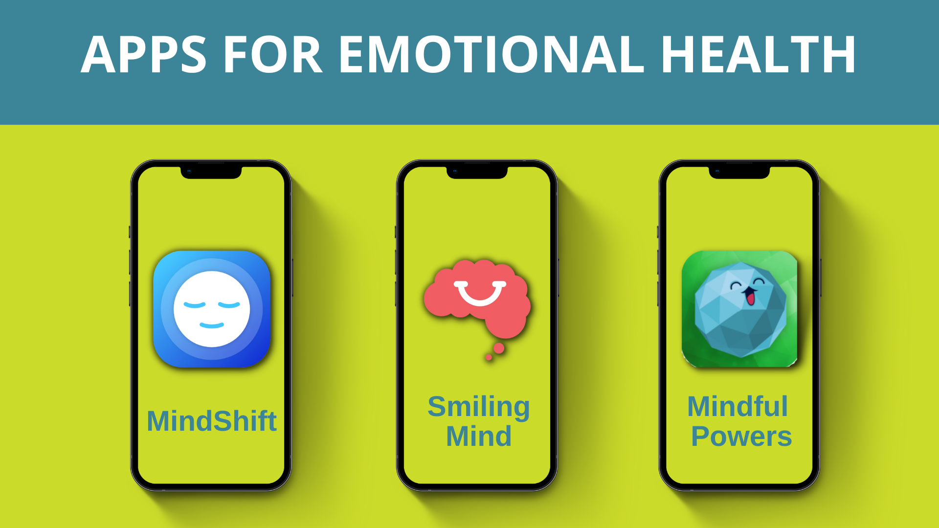 about-patients-families-roadmap-for-emotional-health