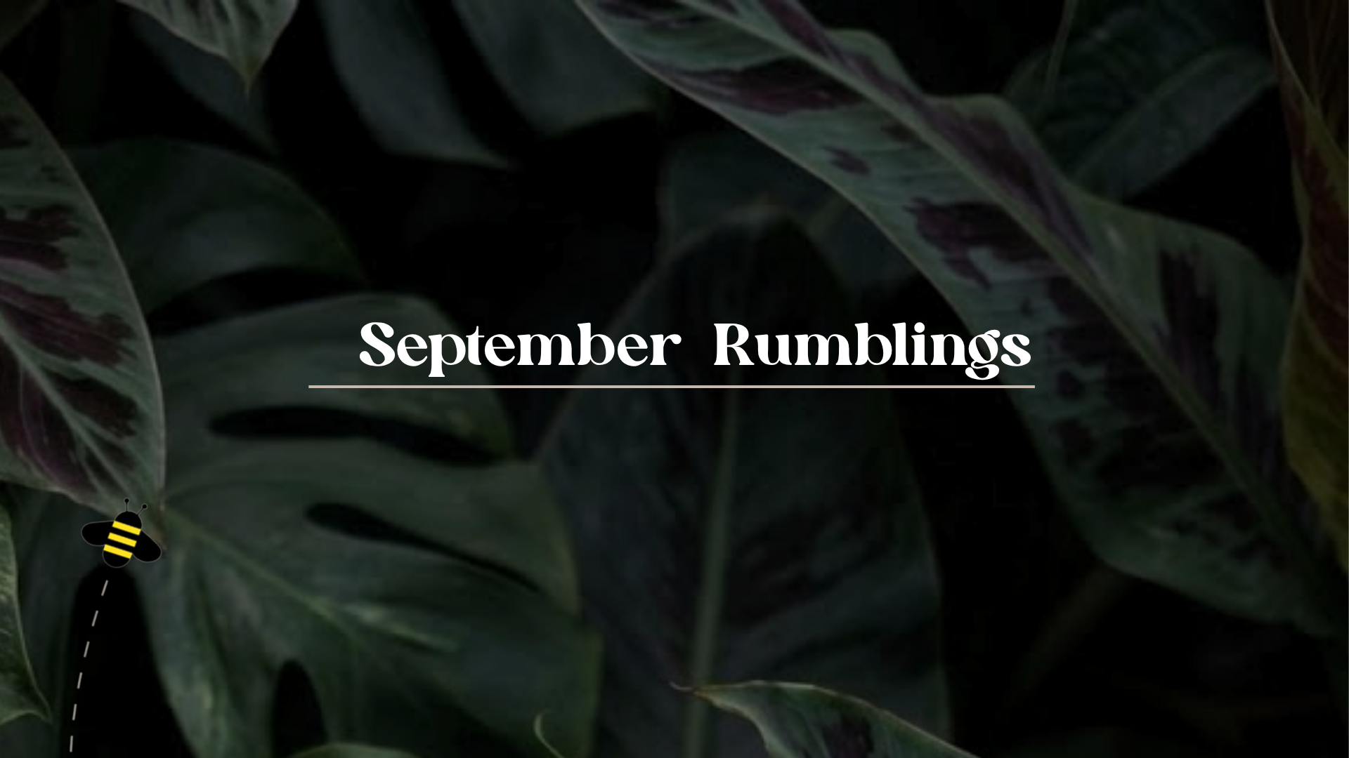 September Rumblings 🐝: Welcome to autumn.
