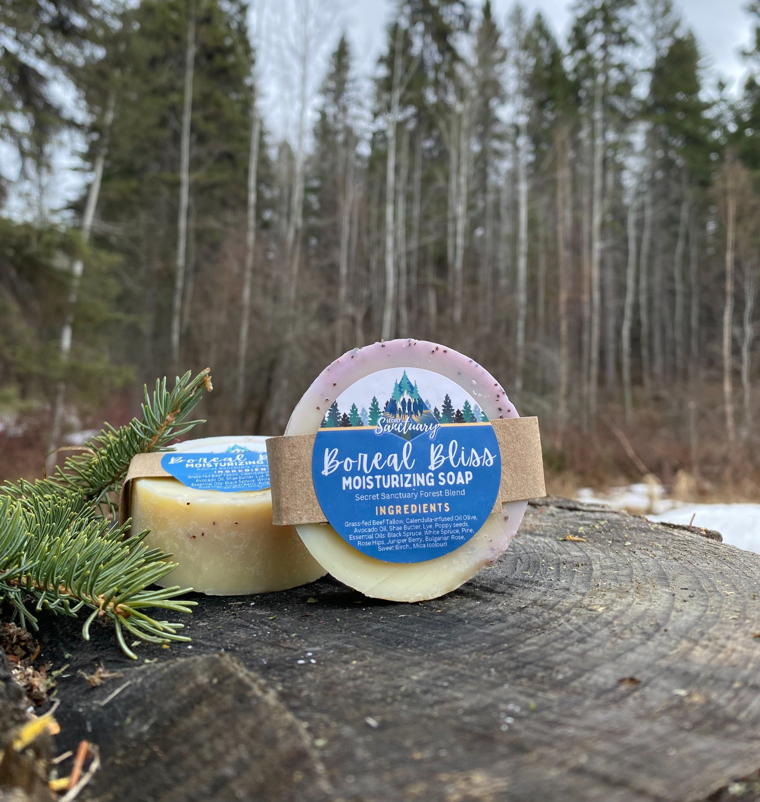SS_IMG_8550_Boreal_Bliss.jpg