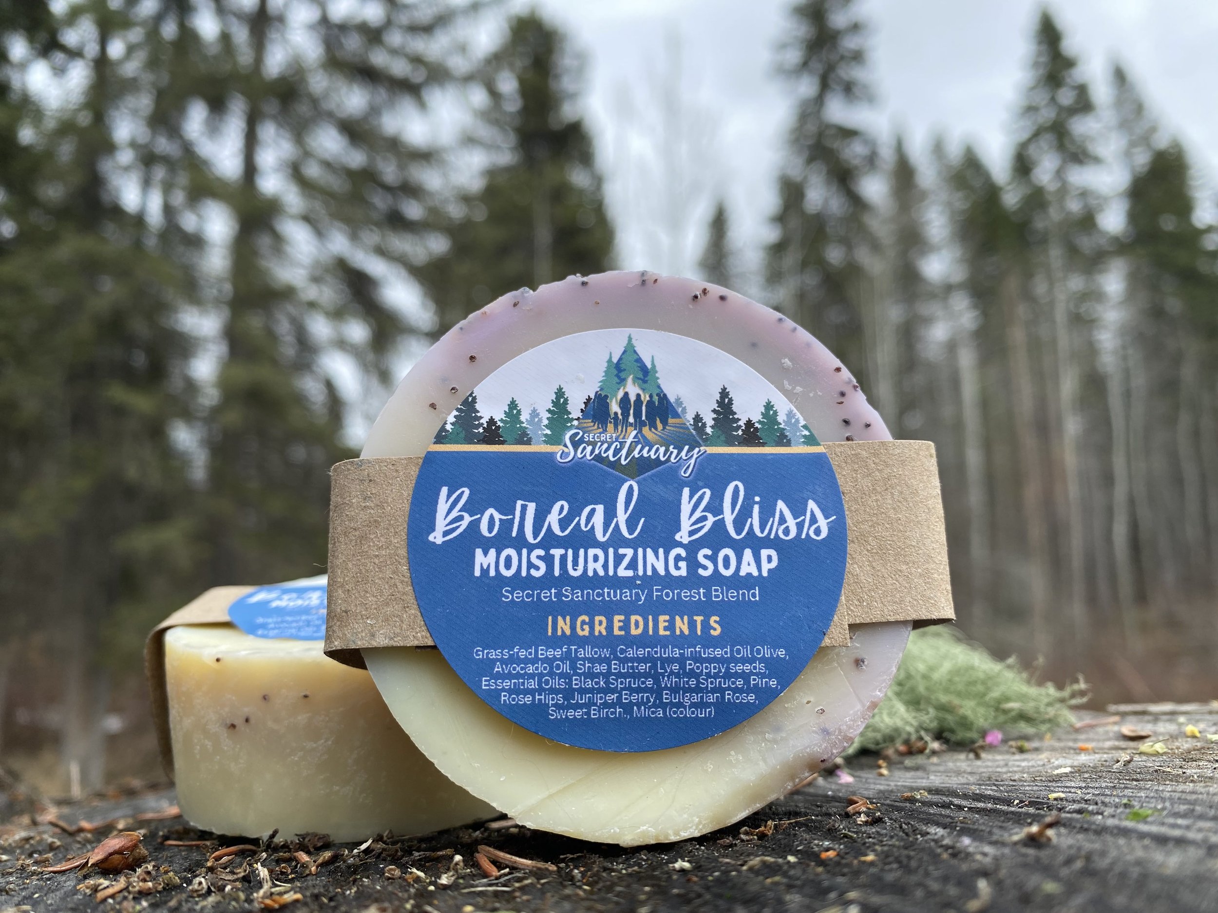 SS_IMG_8562_Boreal_Bliss.jpg