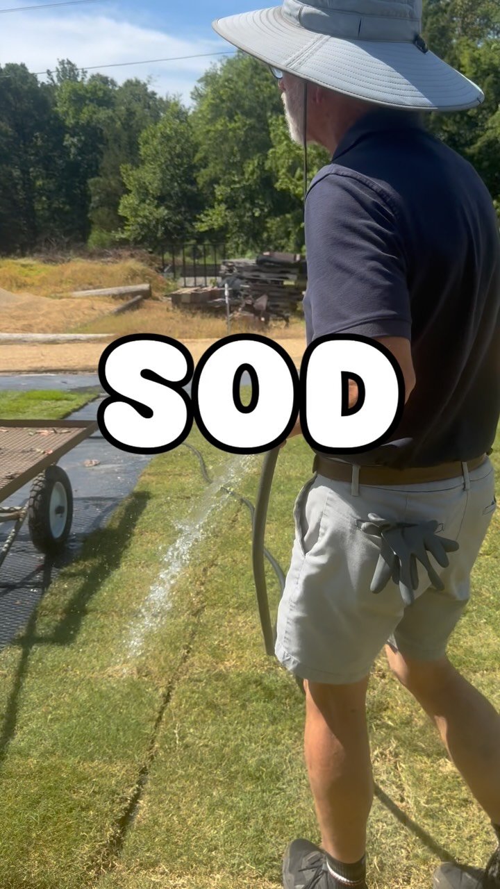 SOD! It's finally back! $4.50 a piece! We've moved it to a new location in the back of our lot. Just ask us about it at the counter!