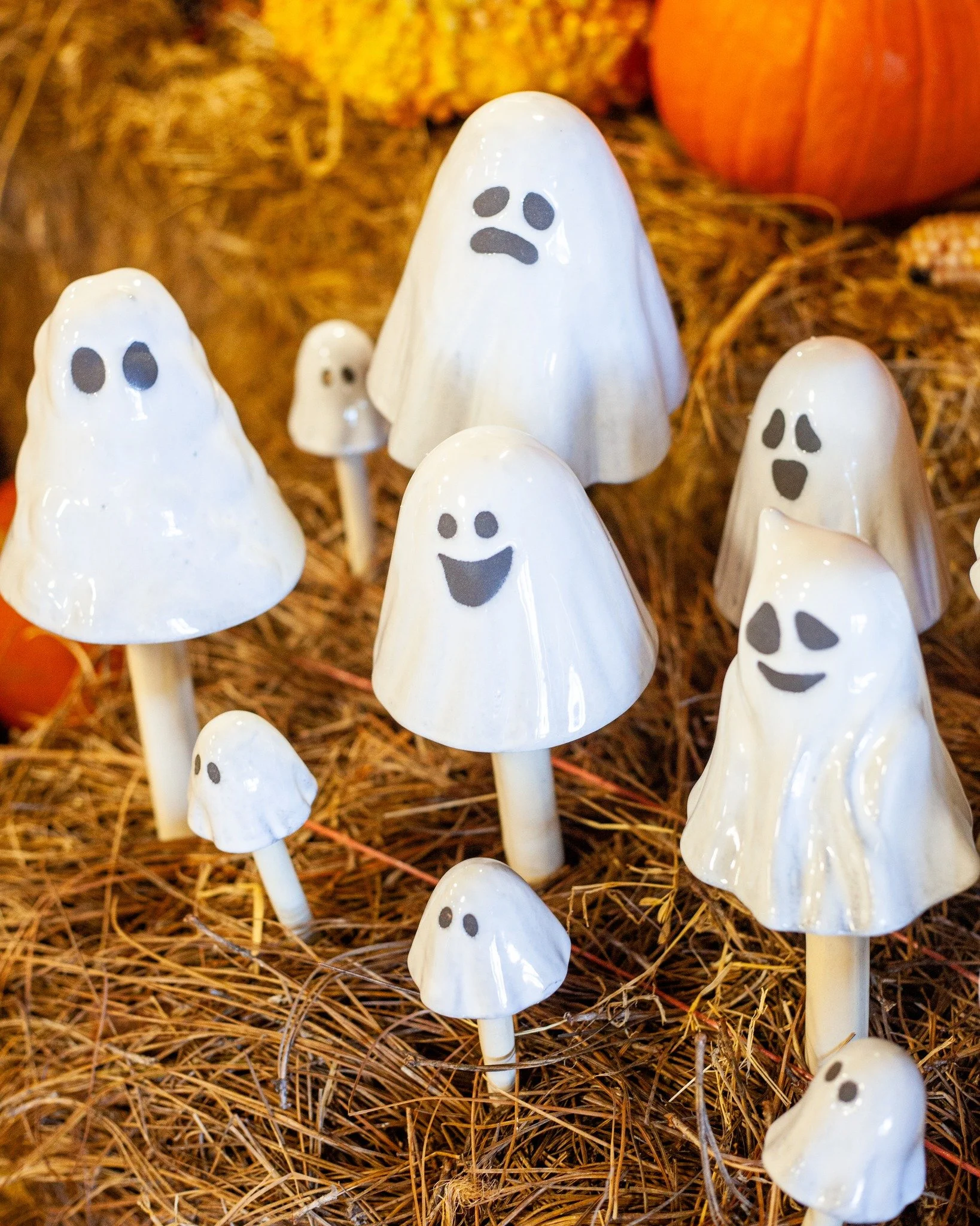 We're so excited to show you our new Ghostyz! To go with our new collection of Shroomyz - these guys need a spooky home! Great to go in houseplants or beds outside. They're freeze tolerant!