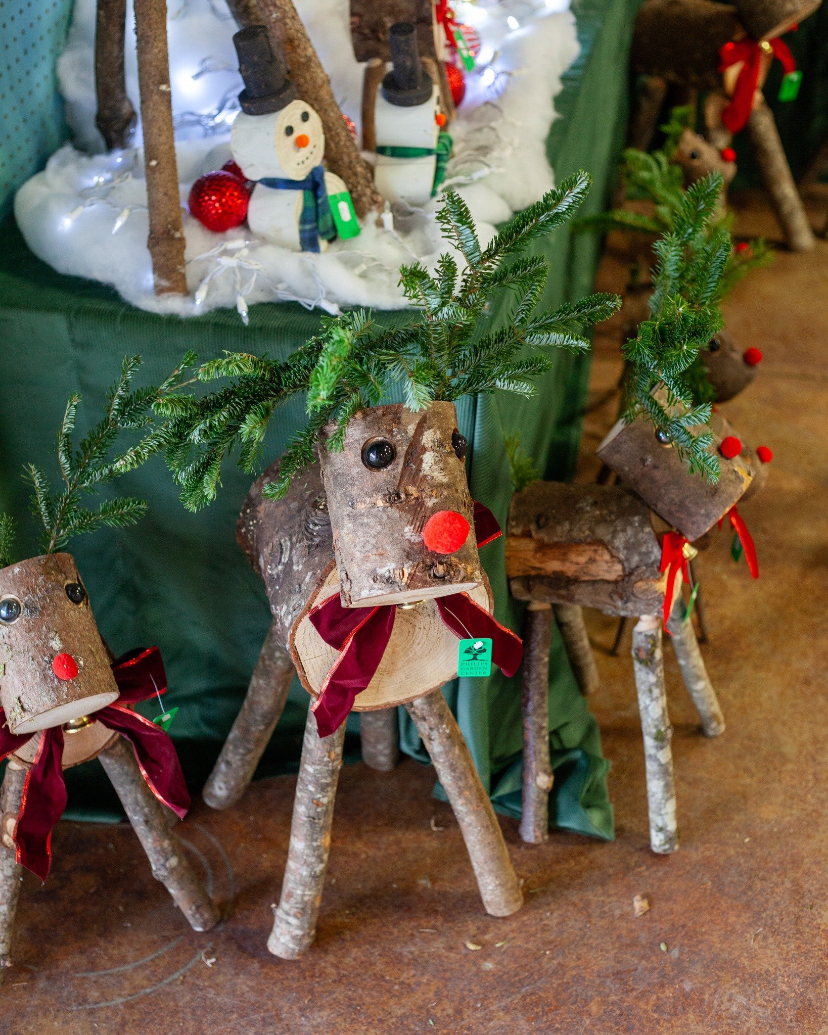 Check out our Christmas Critters! Straight from Oregon!