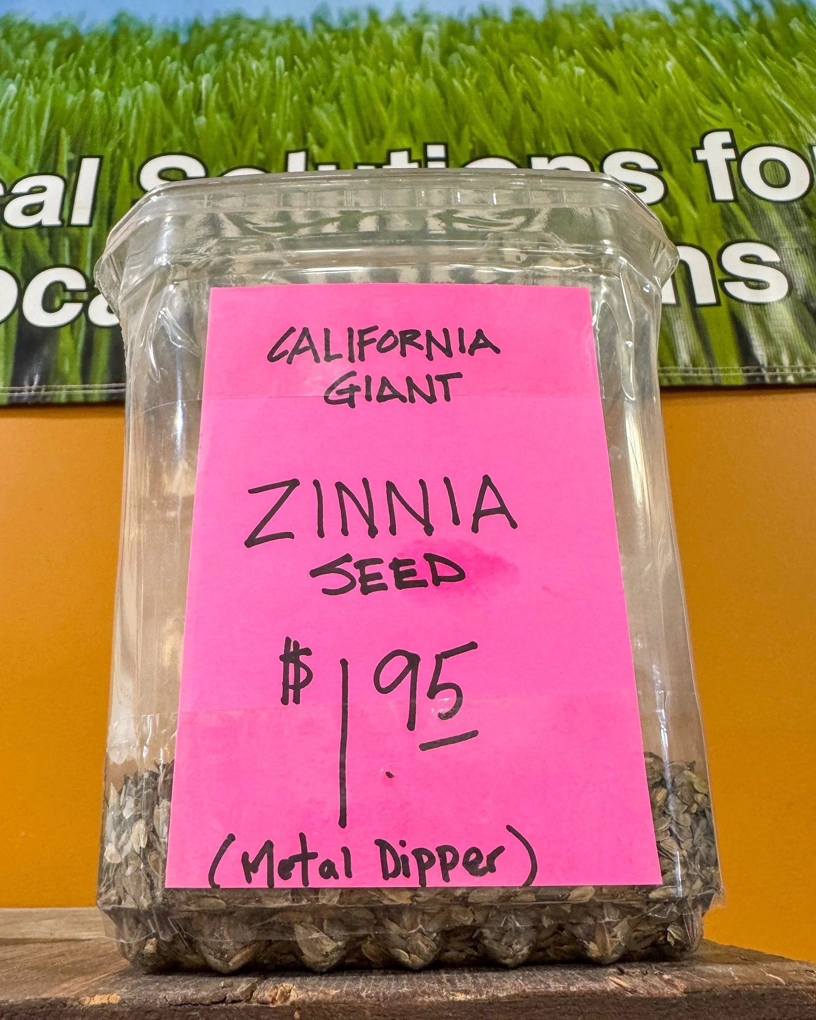 Bulk California Giant Zinnia seeds are in! Plus tons of other awesome seeds.