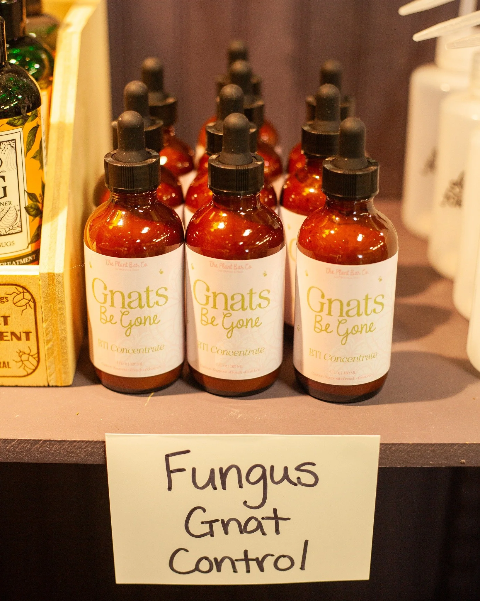 This fungus gnat control will be a lifesaver. You just add it to your water when you water your plants! Its a bacteria known as BT (also used in mosquito dunks and BT Caterpillar spray), and it's totally safe with pets, kids, and adults.