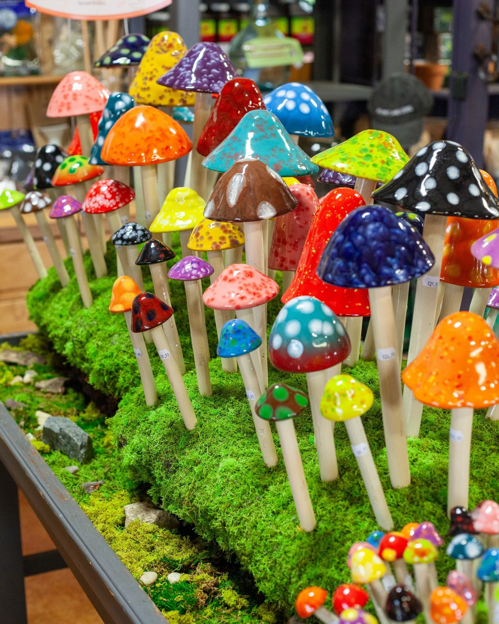 Maybe mom would like a mushroom for her garden!
