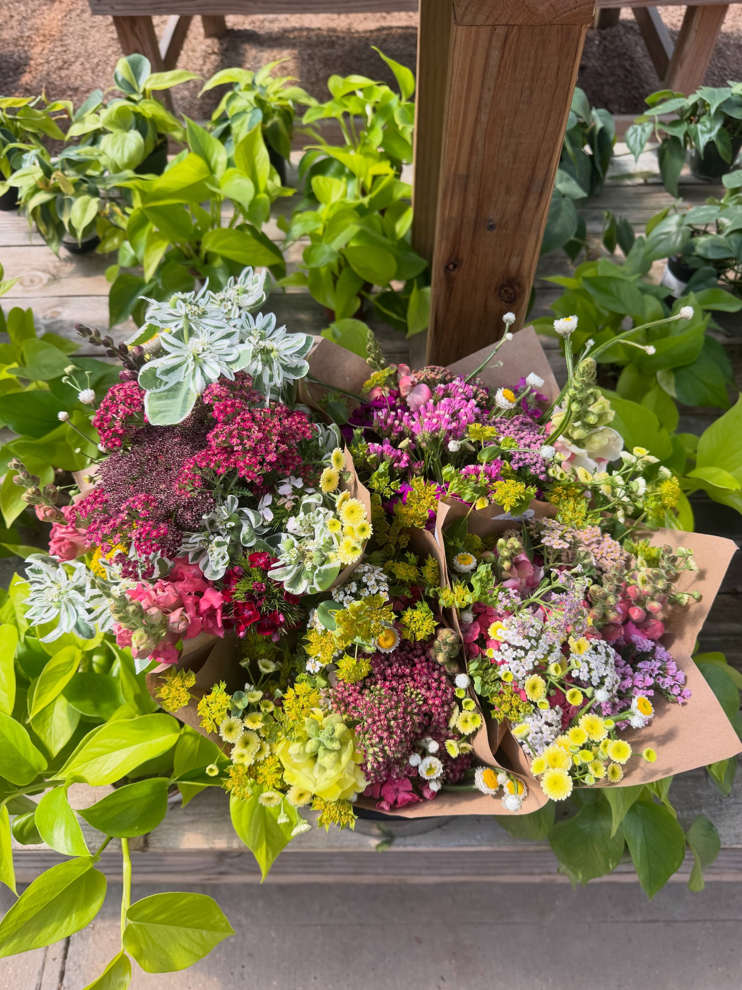 A fresh load of bouquets here at Philips!