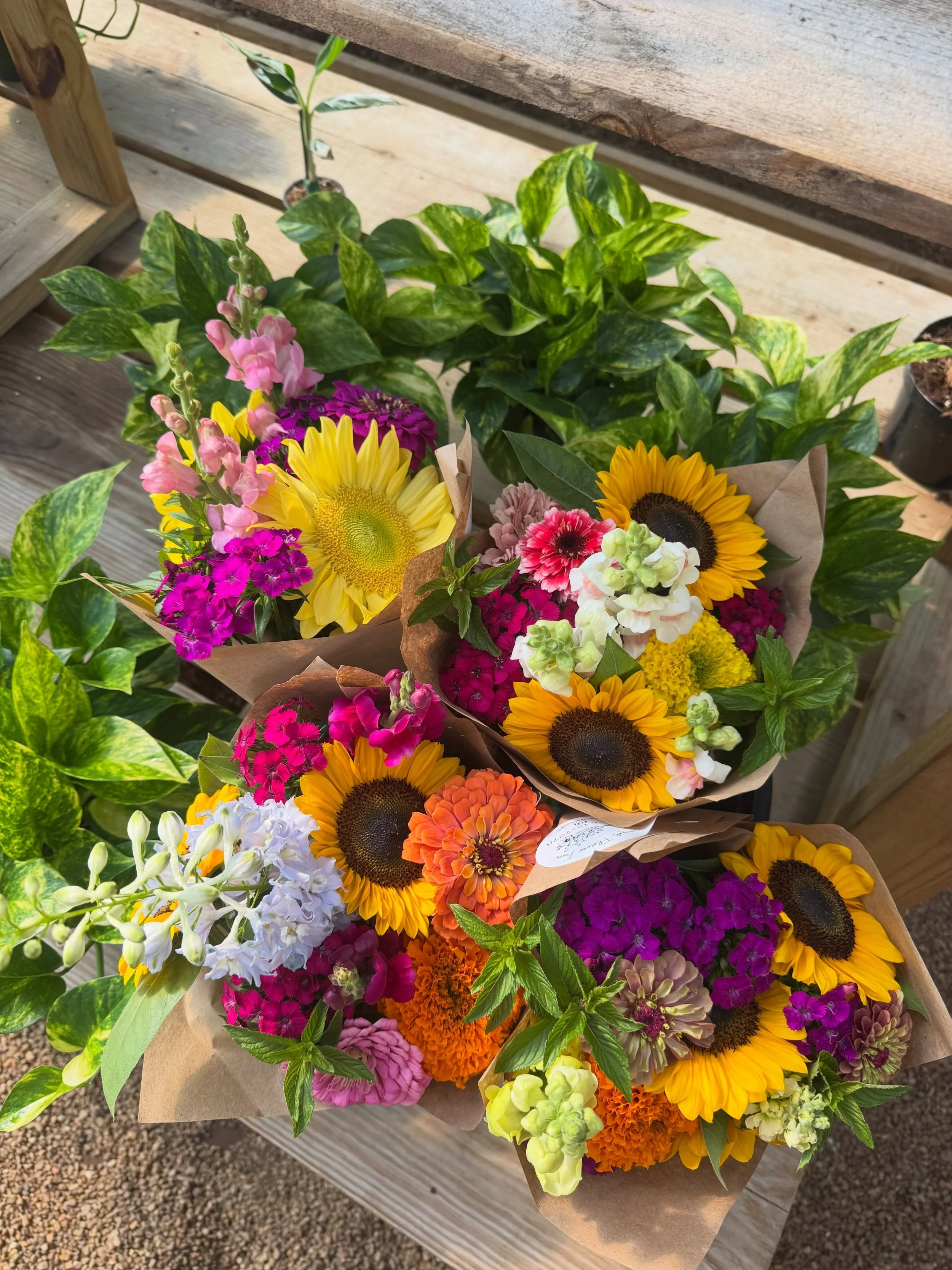 Thanks @farmgirl_flower_farm for the gorgeous flowers this week!