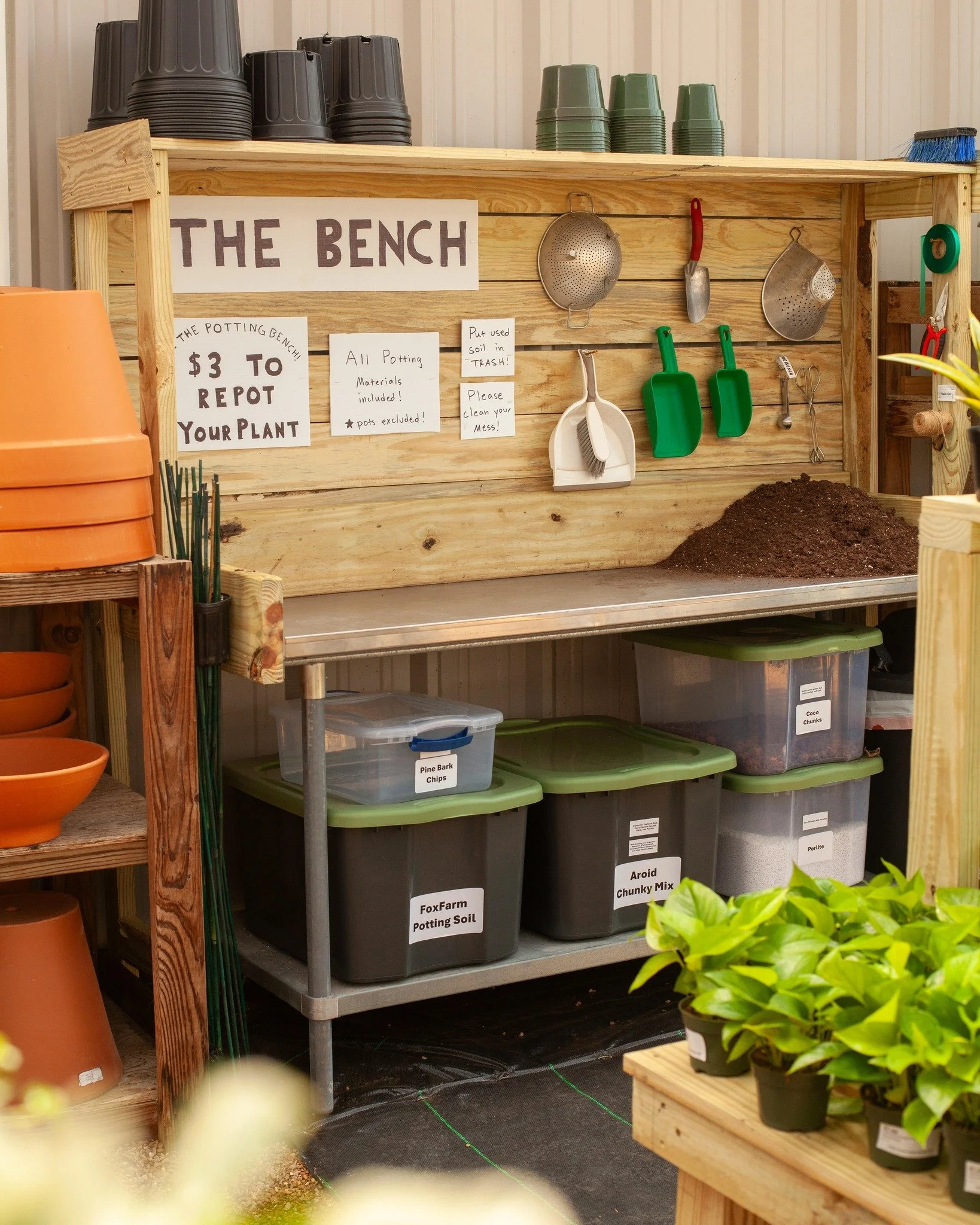 The bench has become quite popular! Come repot your plant for $3! Soil and amendments are included. Just bring or buy a pot!