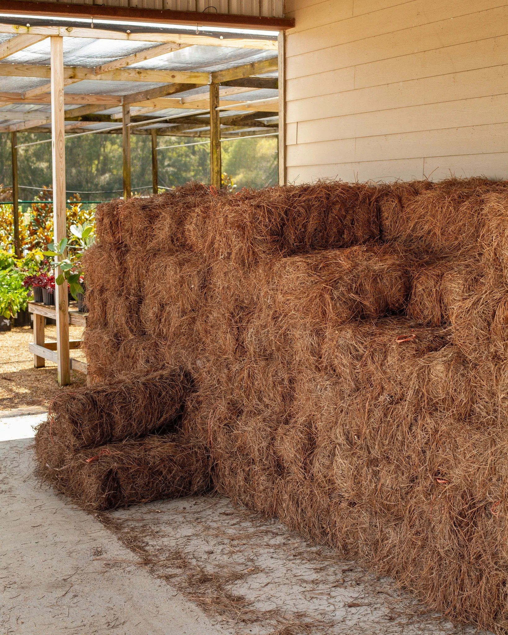 We have pine and rice straw! 

pine straw - $8.50/bale - 10 or more, then $8.00/bale
rice straw - $8.00/bale